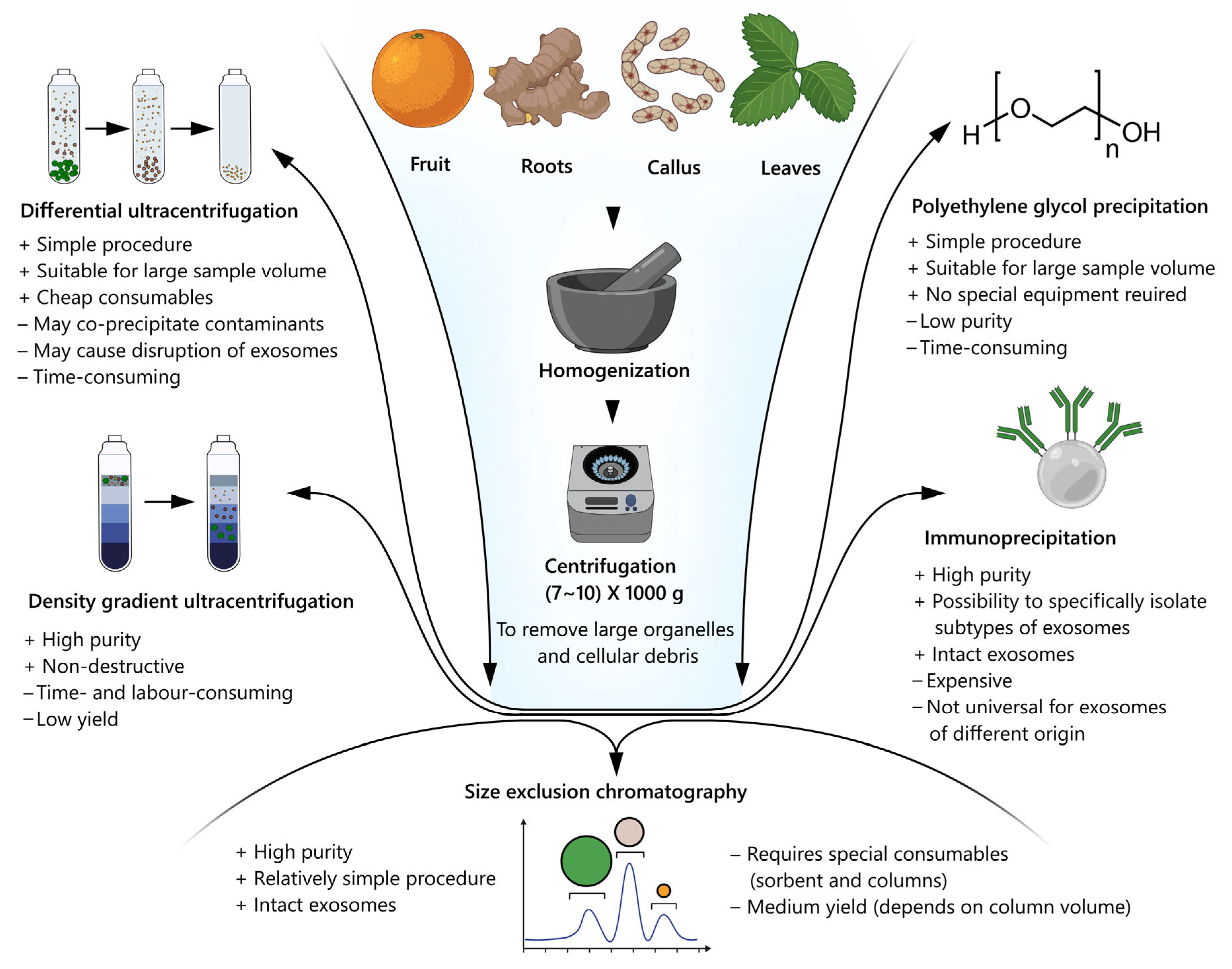 Applsci 12 08262 g002