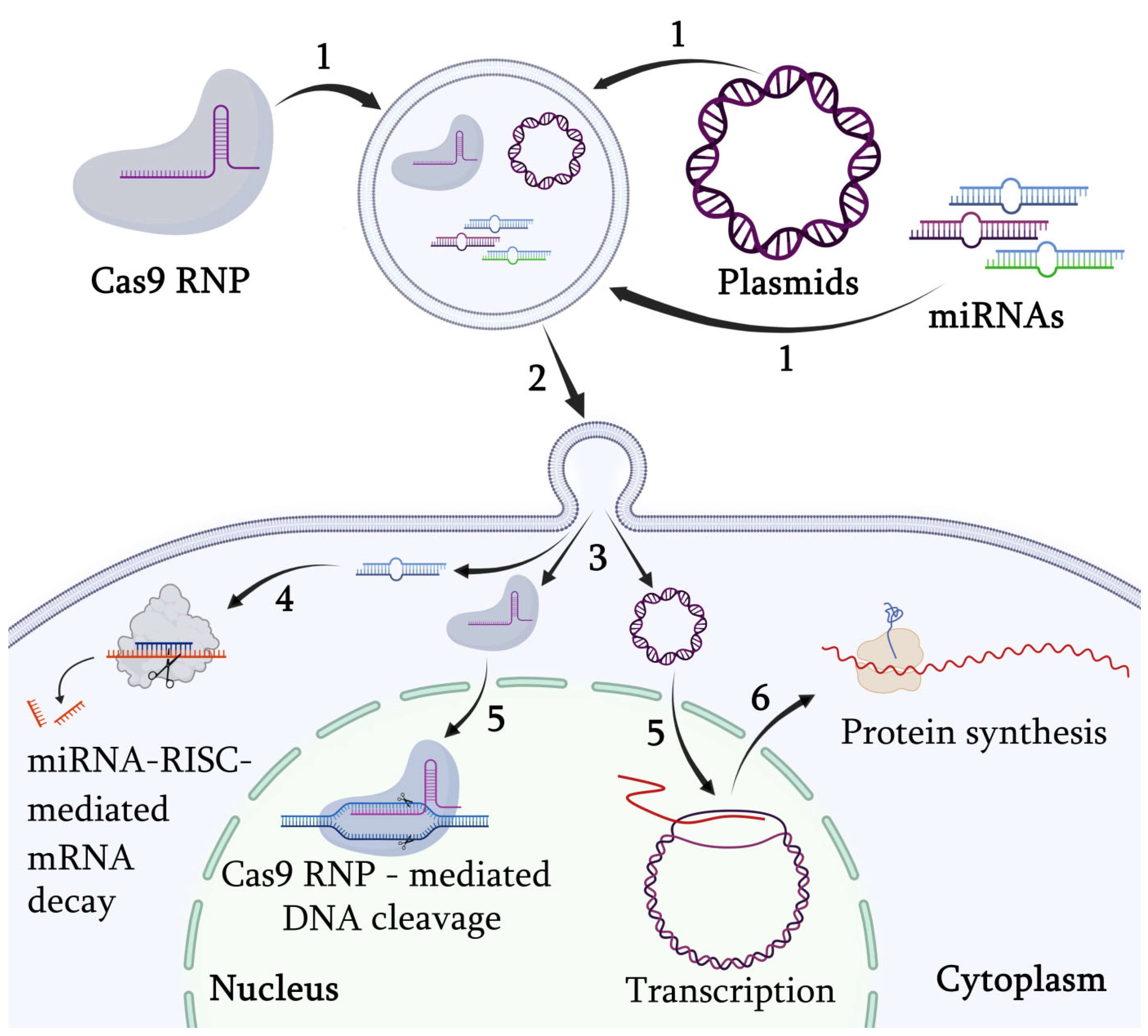 Applsci 12 08262 g004