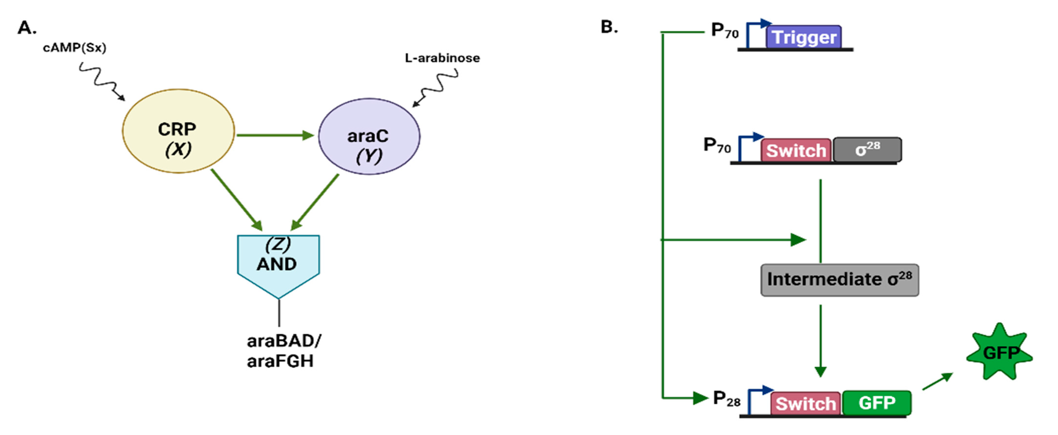Applsci 12 08292 g003