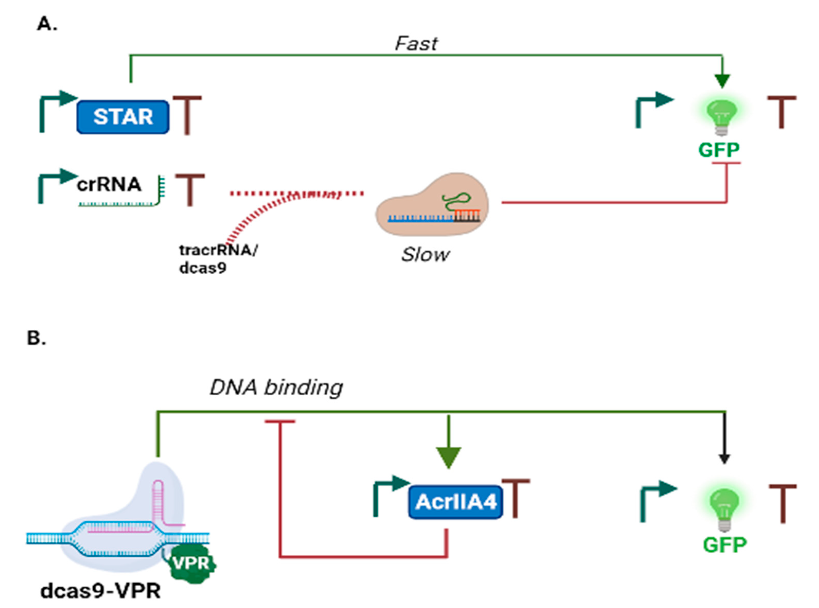 Applsci 12 08292 g008
