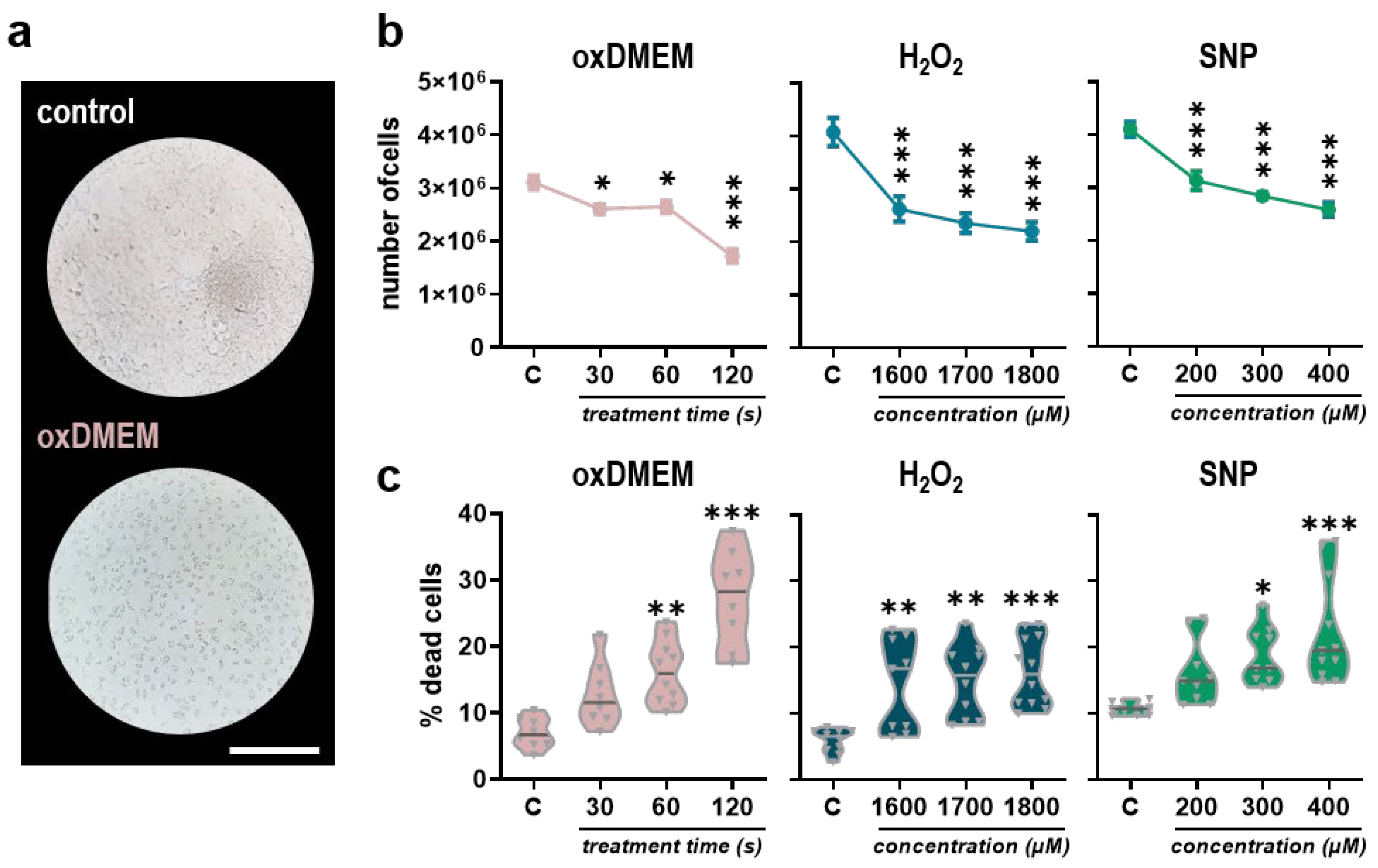 Applsci 12 08311 g003
