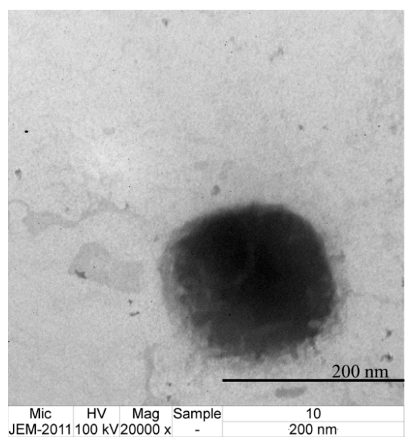 Applsci 12 08324 g006