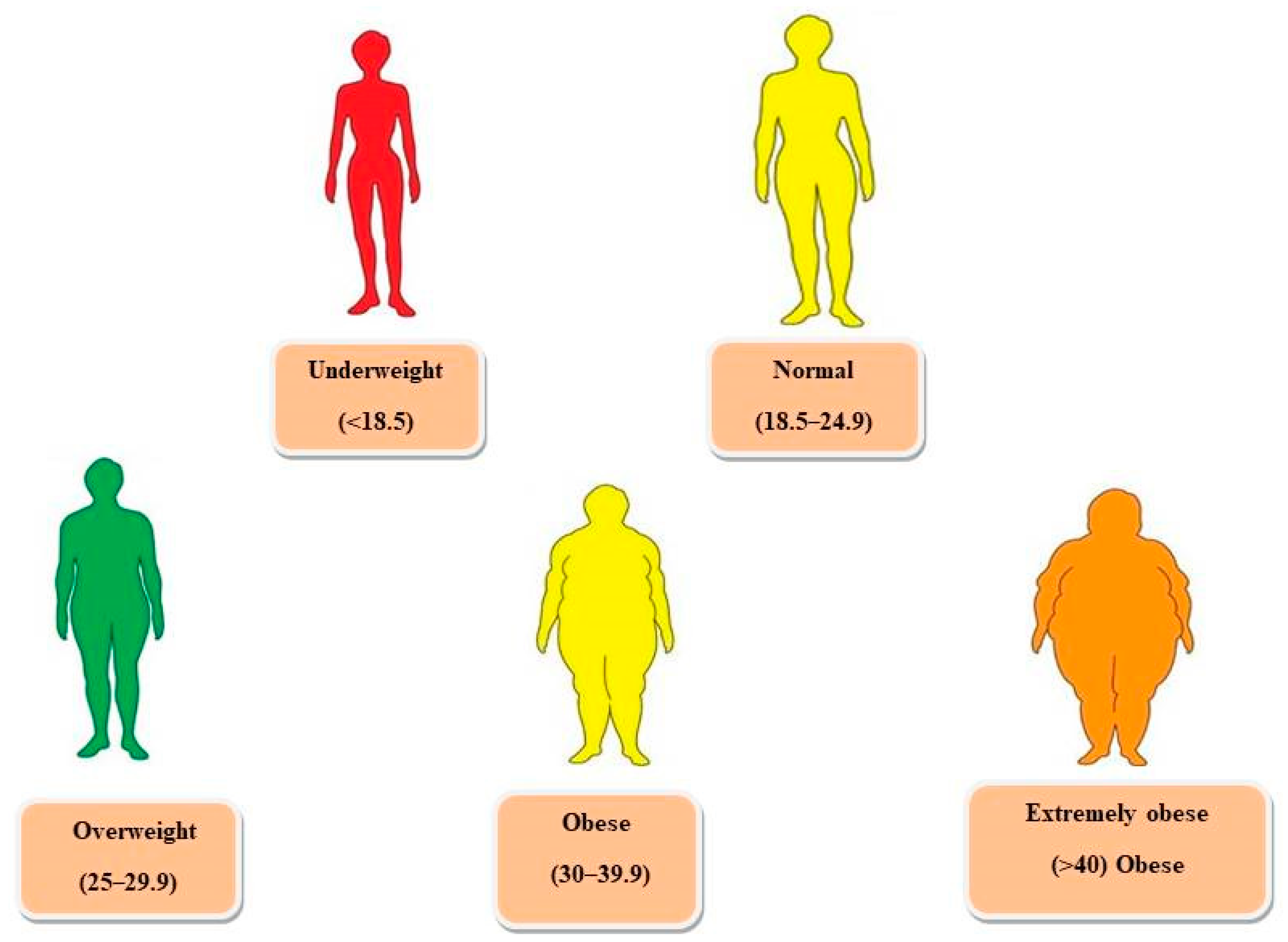 Applsci 12 08342 g001