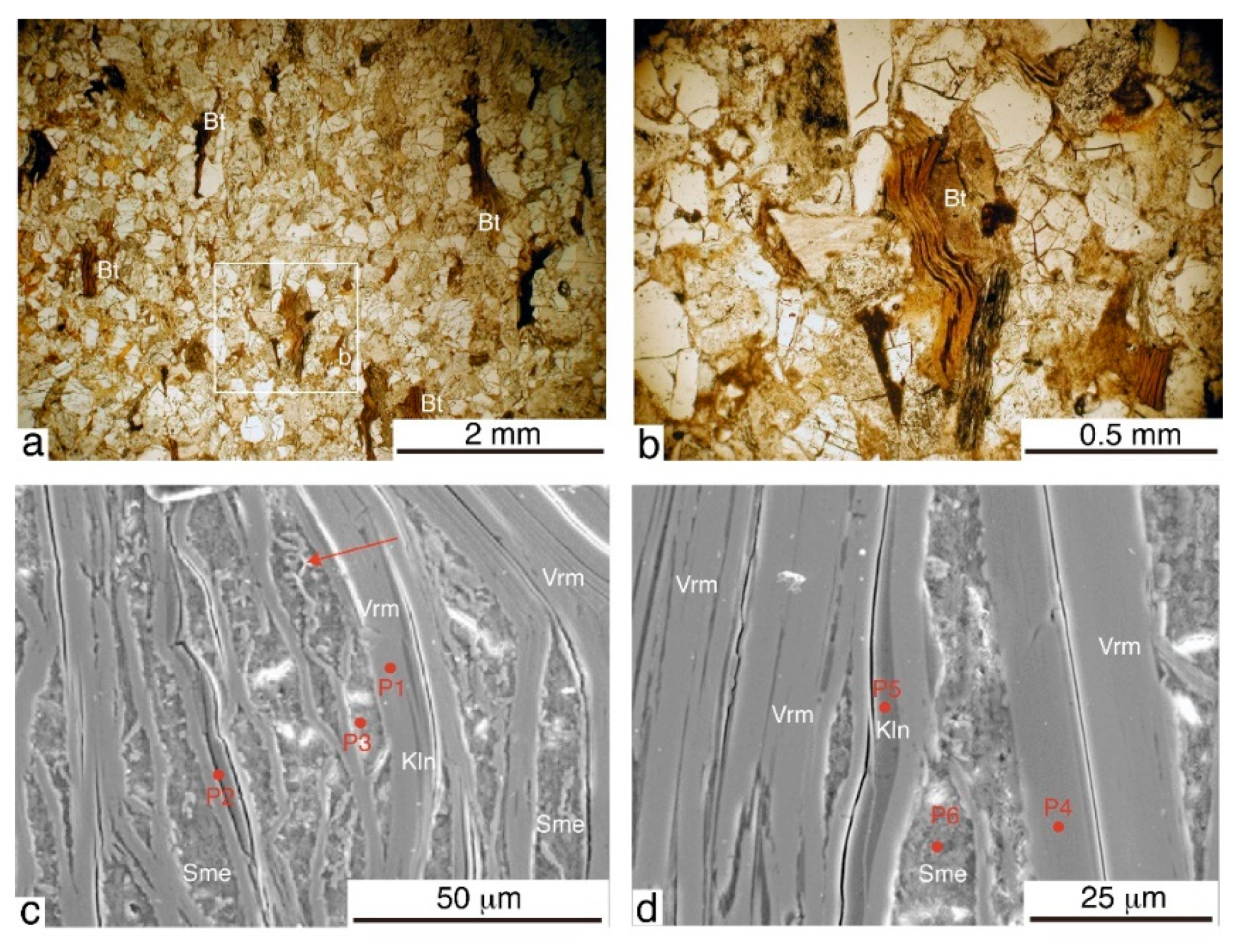 Applsci 12 08348 g006 Applsci 12 08348 g006