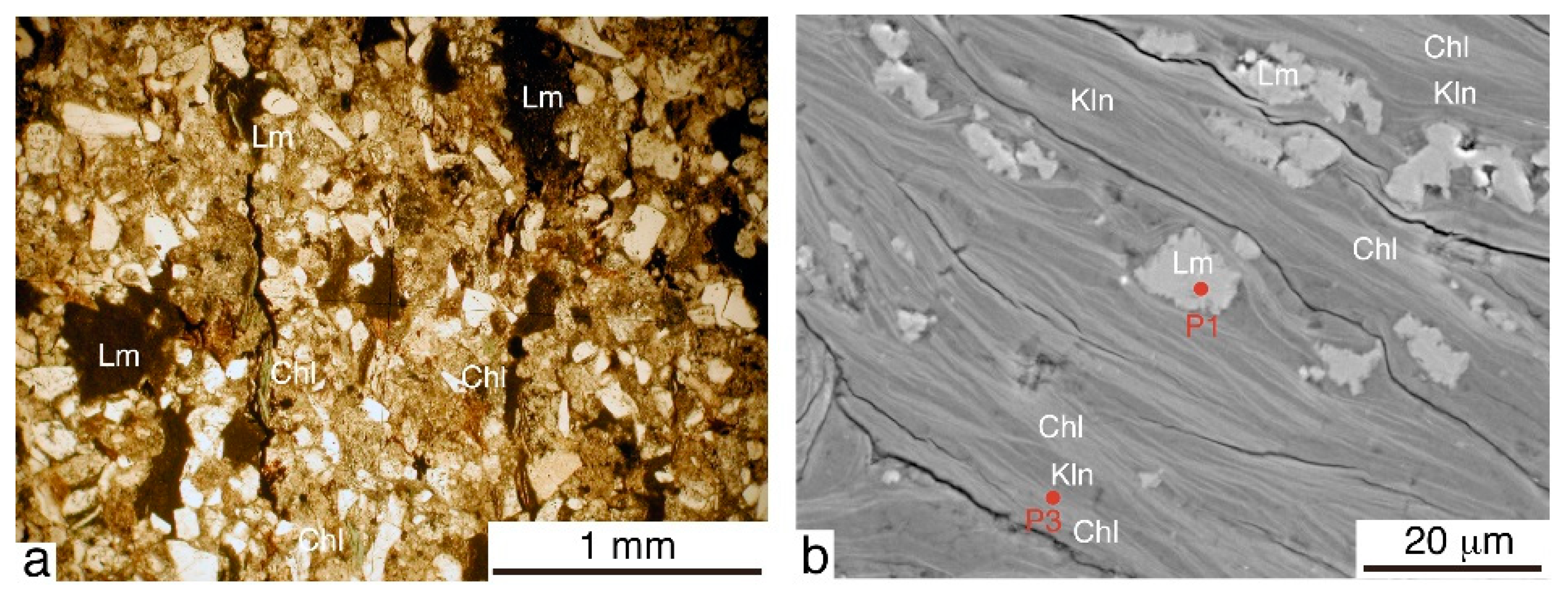 Applsci 12 08348 g008 Applsci 12 08348 g008