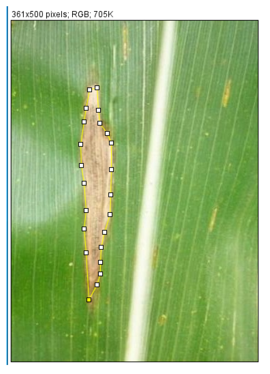 Applsci 12 08412 g011 Applsci 12 08412 g011