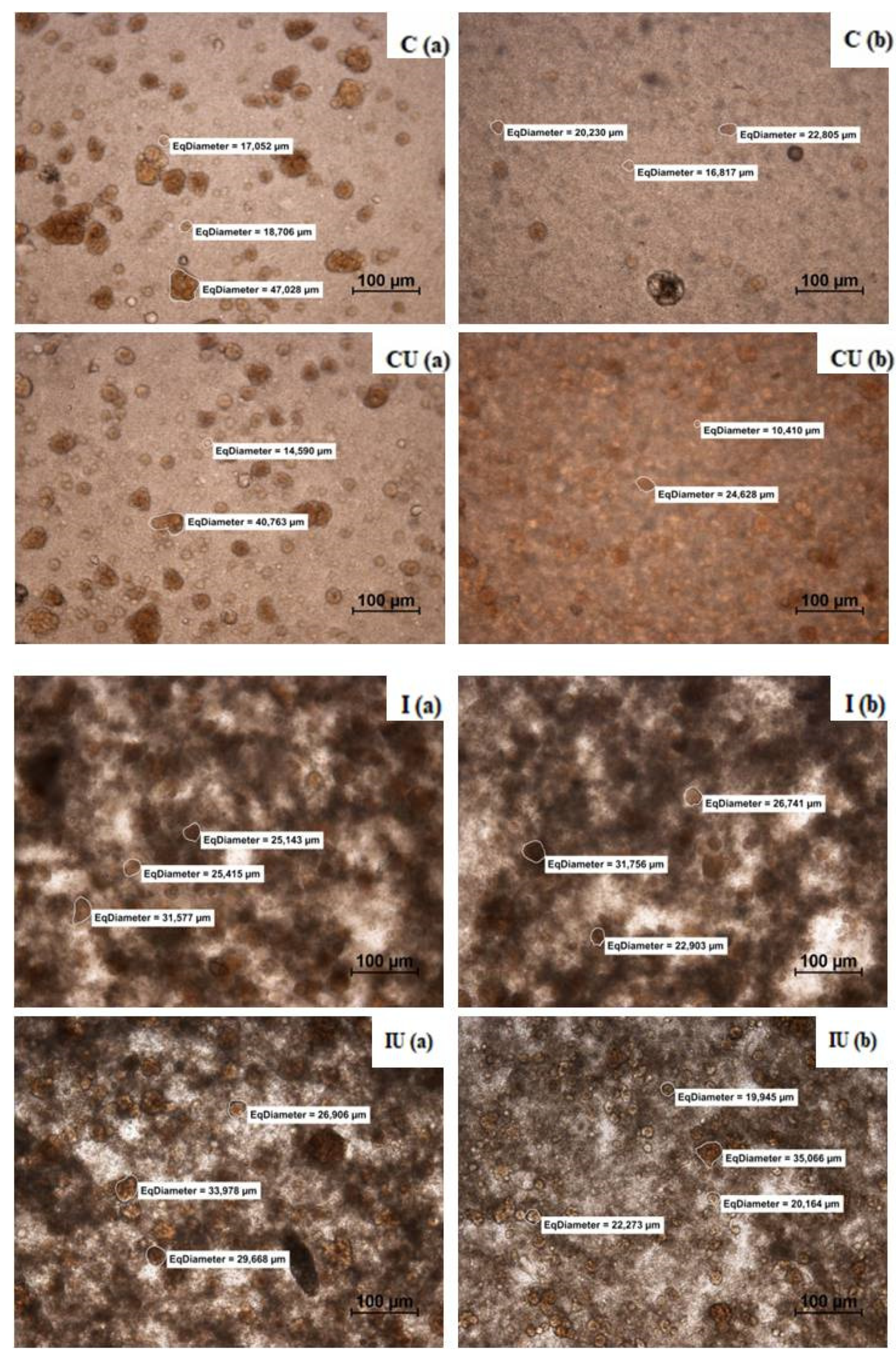 Applsci 12 08492 g005a