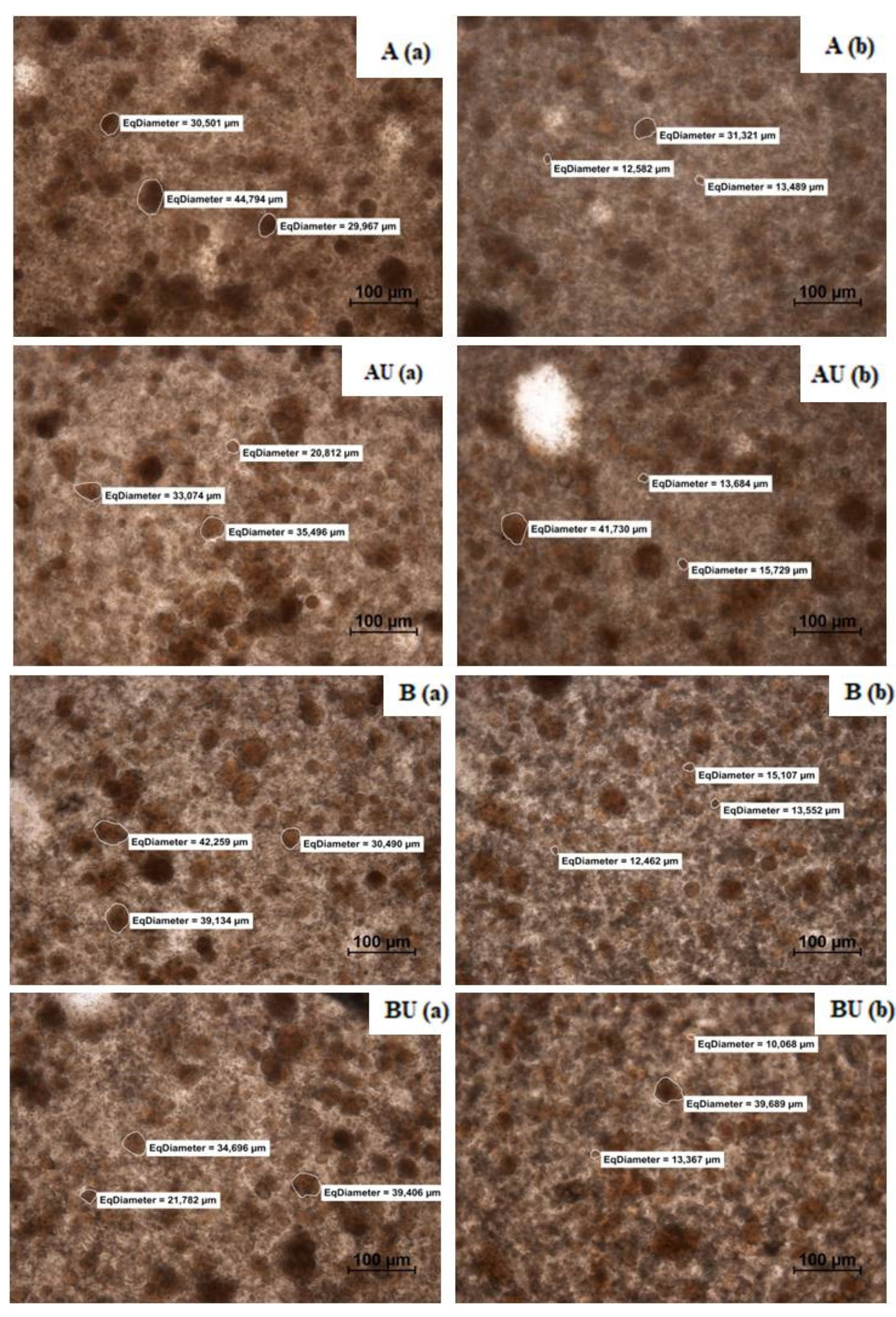 Applsci 12 08492 g005b