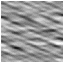 Applsci 12 08509 i008 Applsci 12 08509 i008