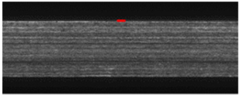 Applsci 12 08509 i041 Applsci 12 08509 i041