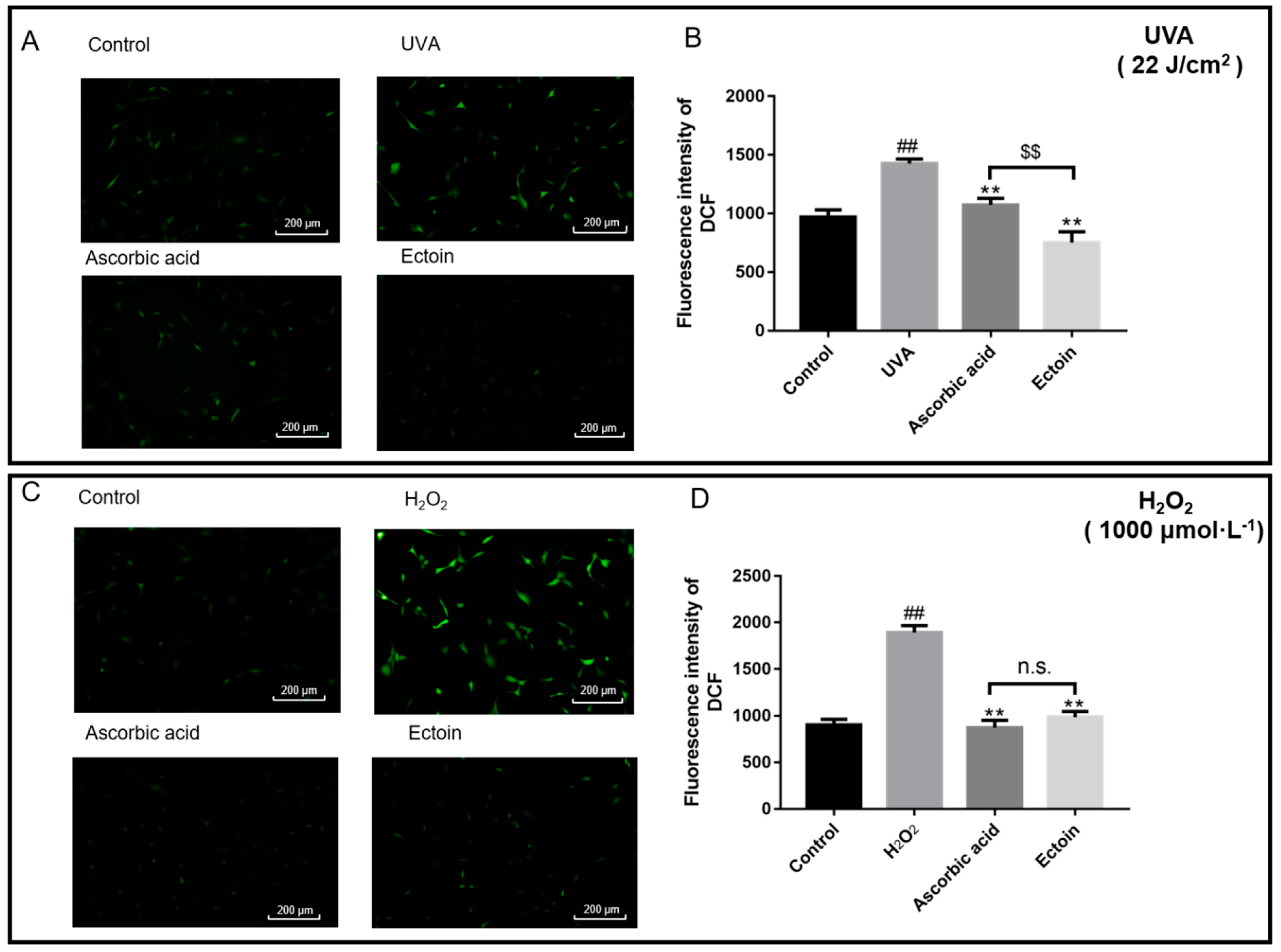 Applsci 12 08531 g004