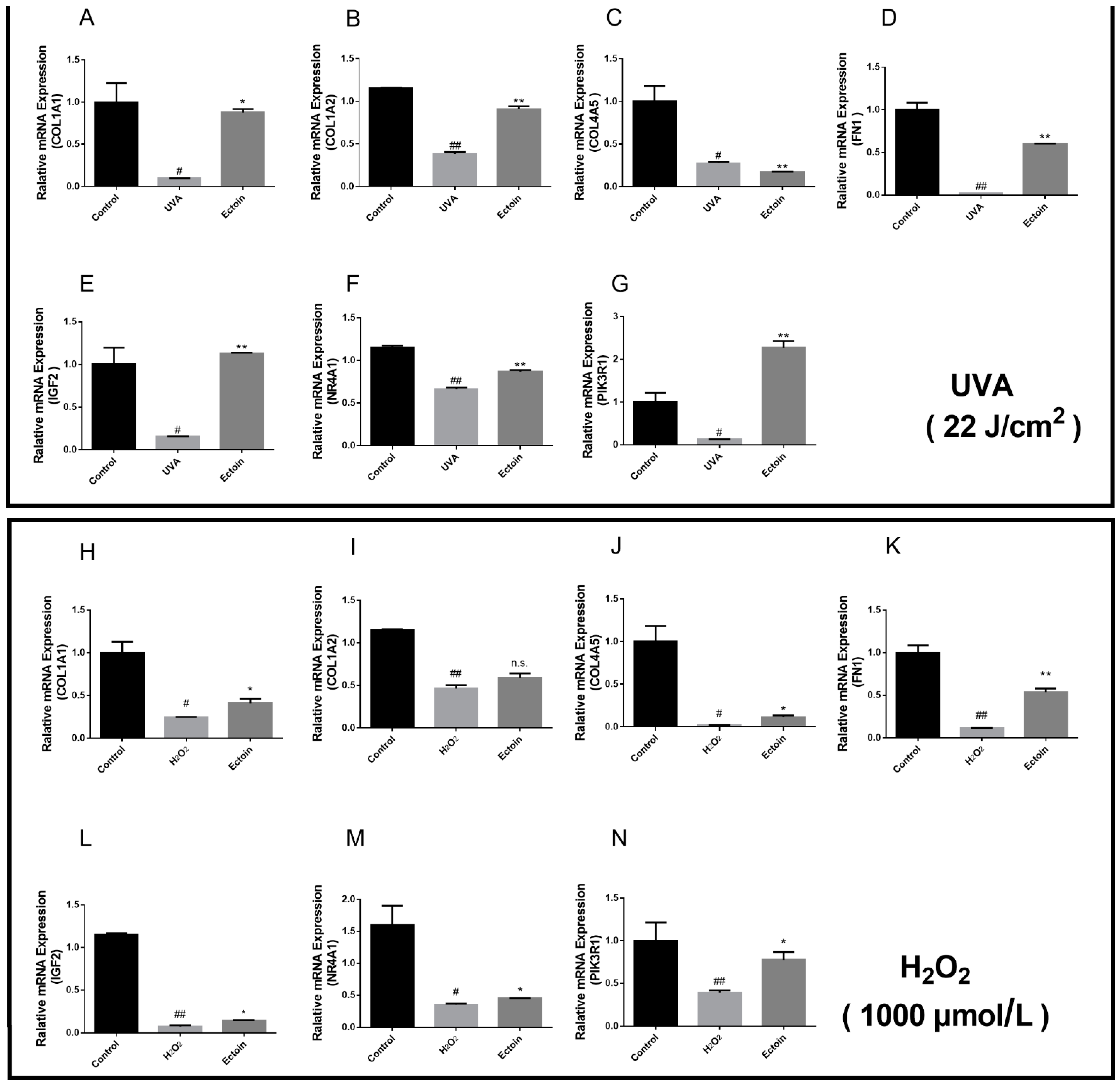 Applsci 12 08531 g005