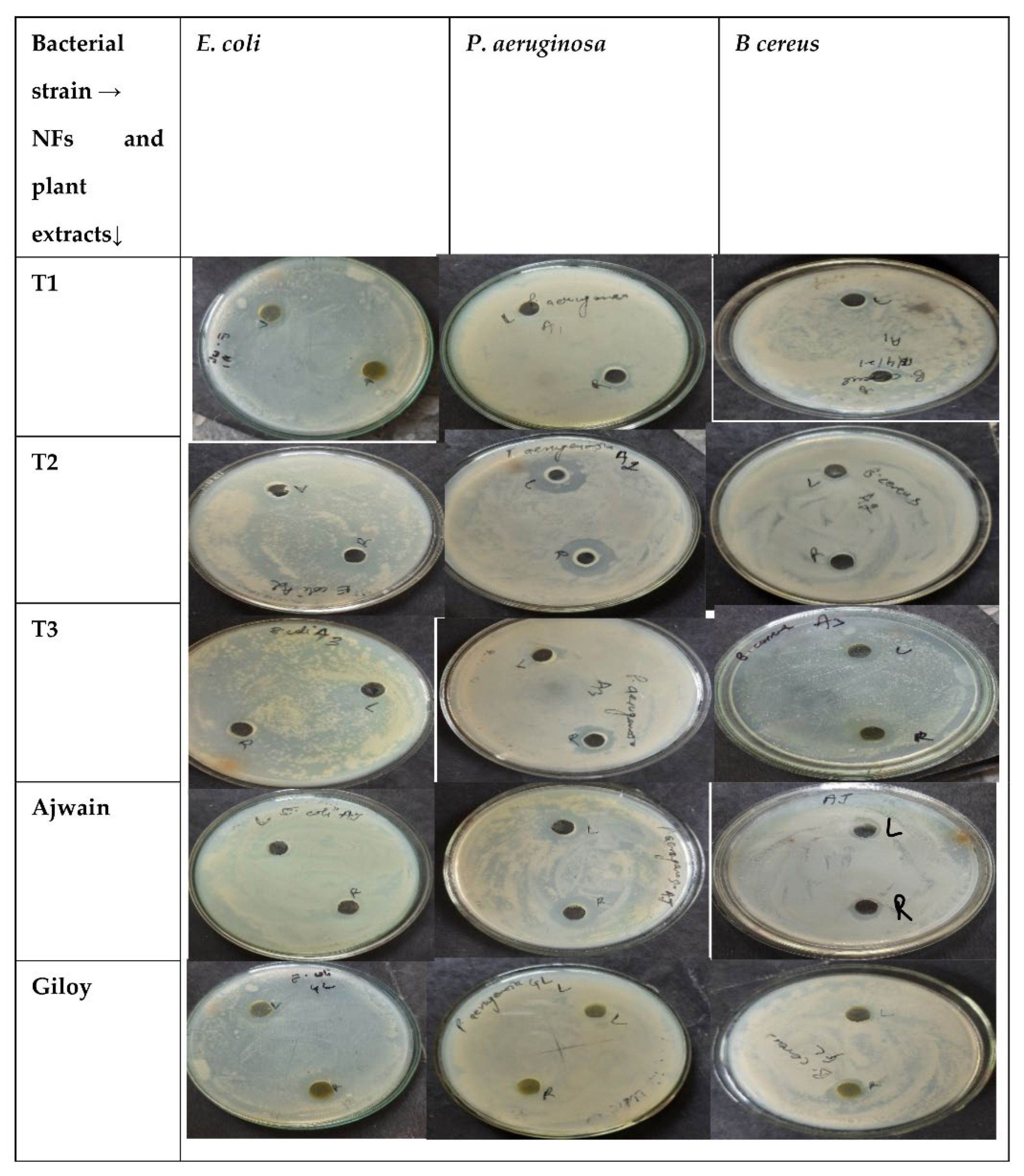 Applsci 12 08630 g004