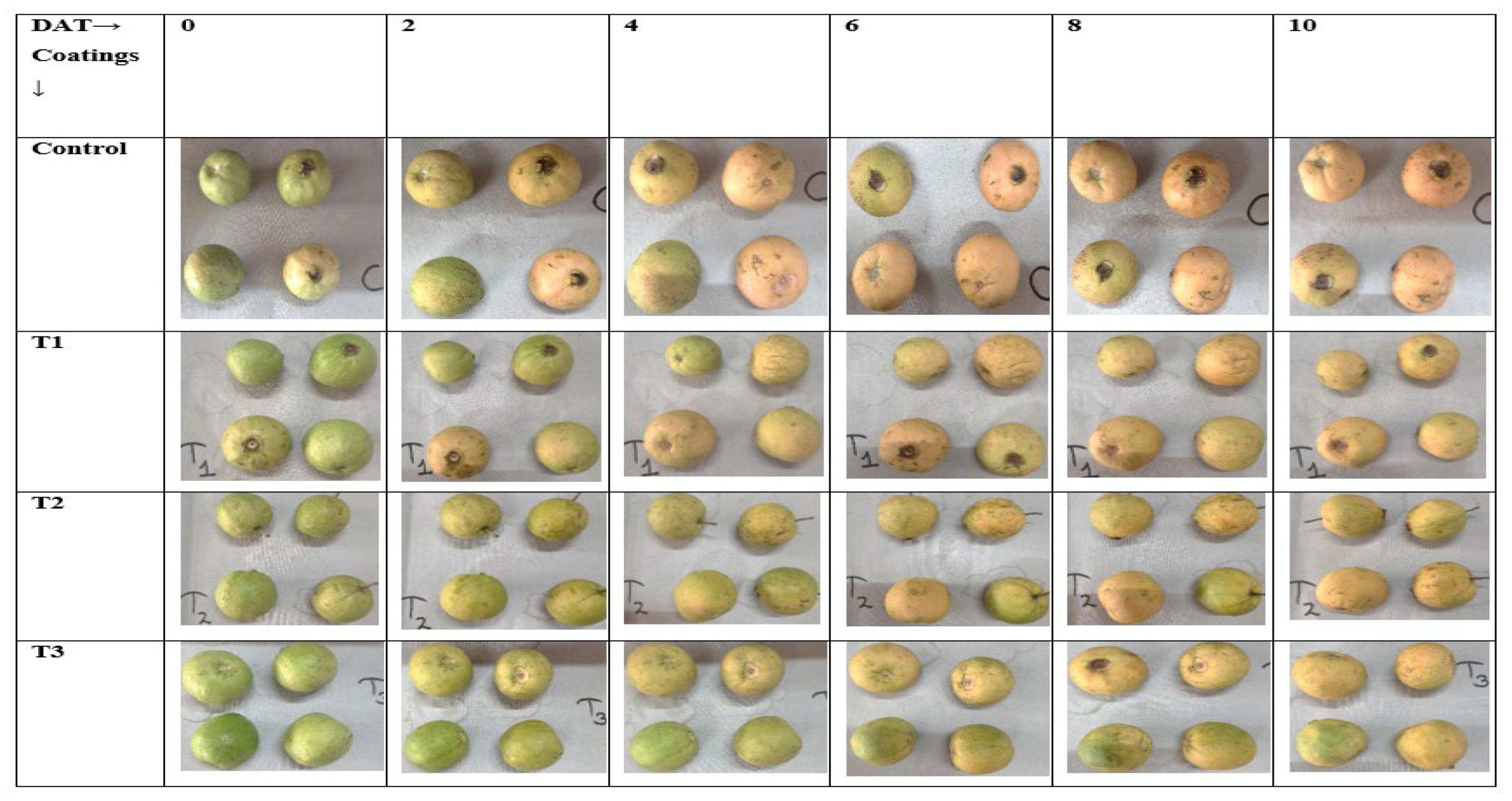 Applsci 12 08630 g008