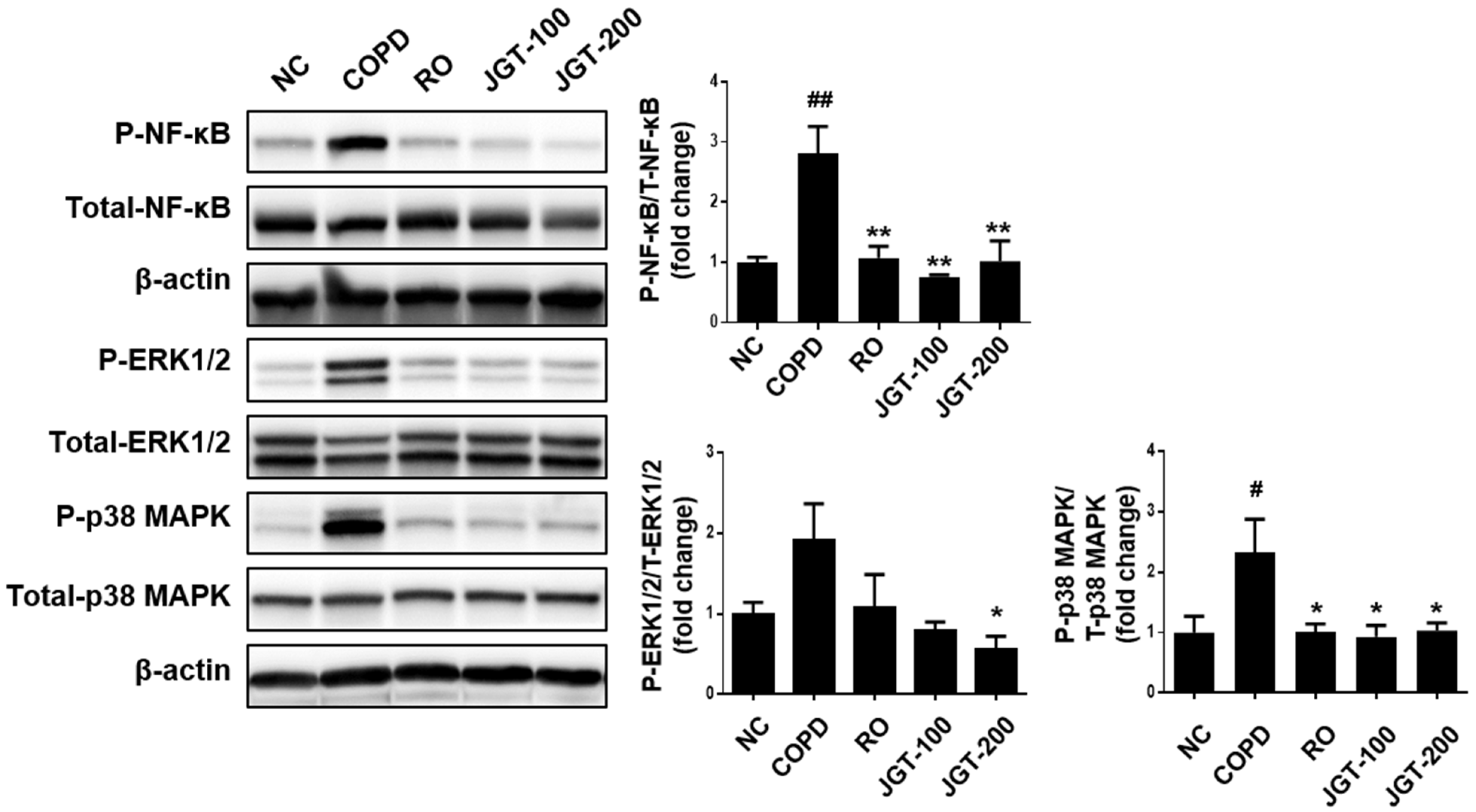 Applsci 12 08646 g008