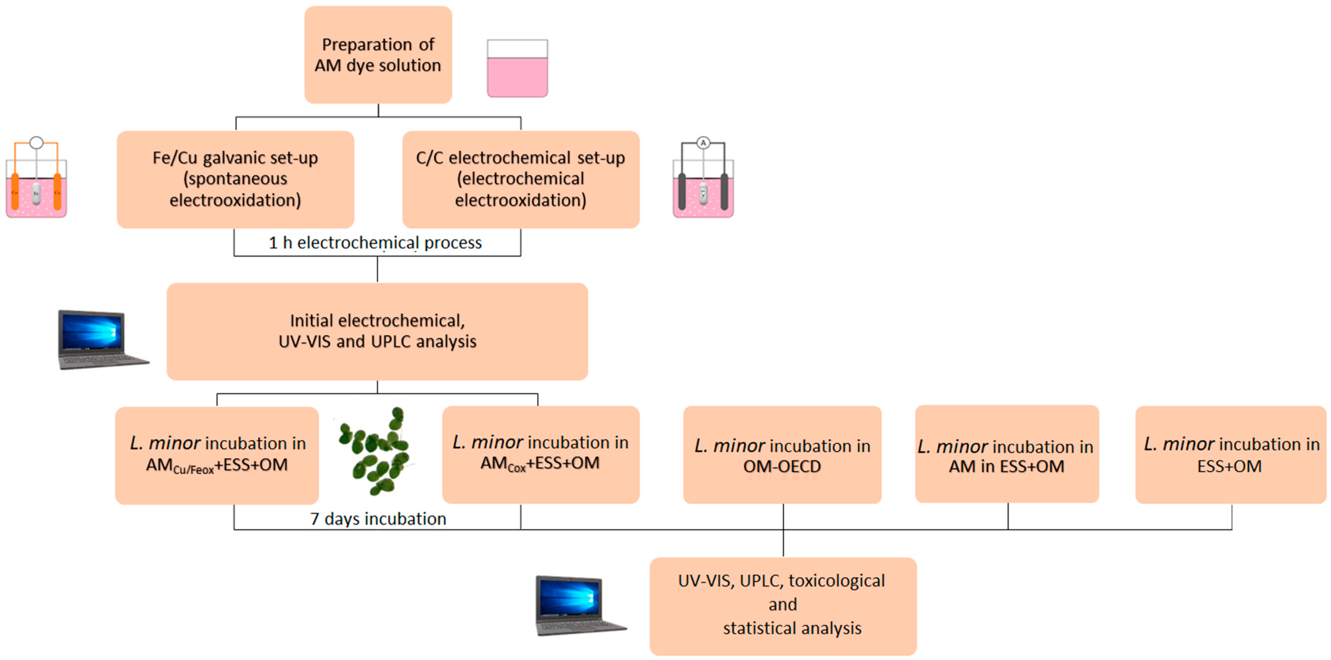 Applsci 12 08672 g001