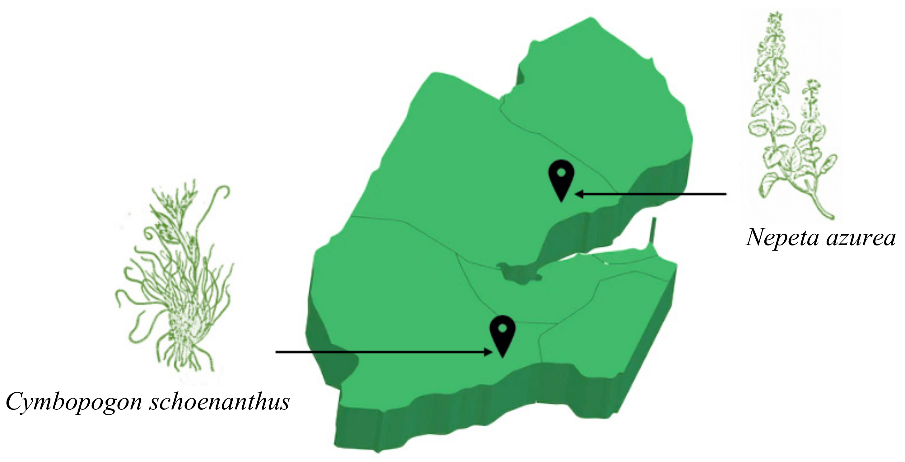 Applsci 12 08699 g001