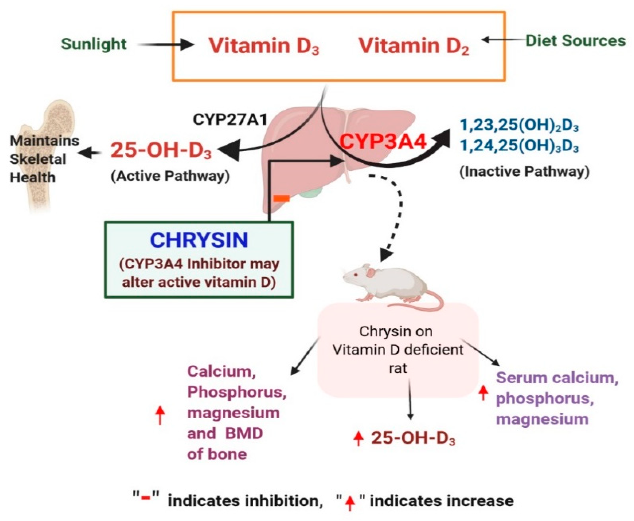 Applsci 12 08728 g001