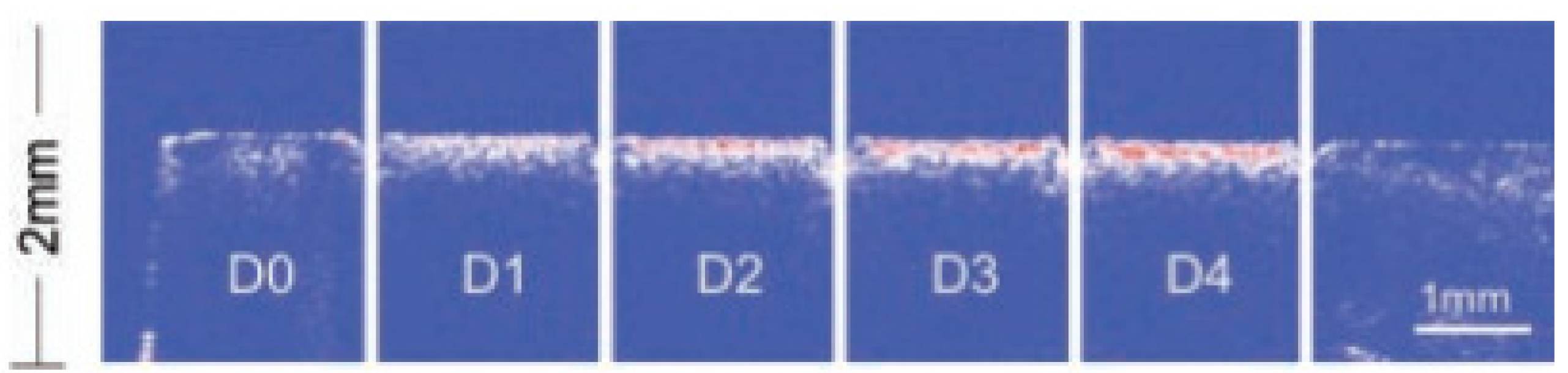 Applsci 12 08780 g001 Applsci 12 08780 g001