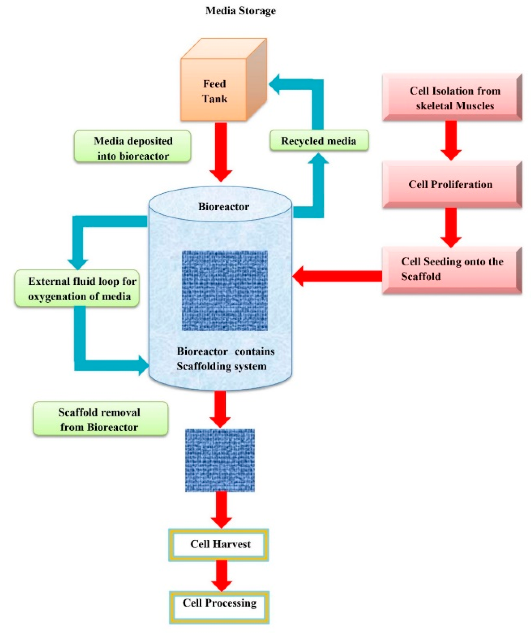 Applsci 12 08795 g003