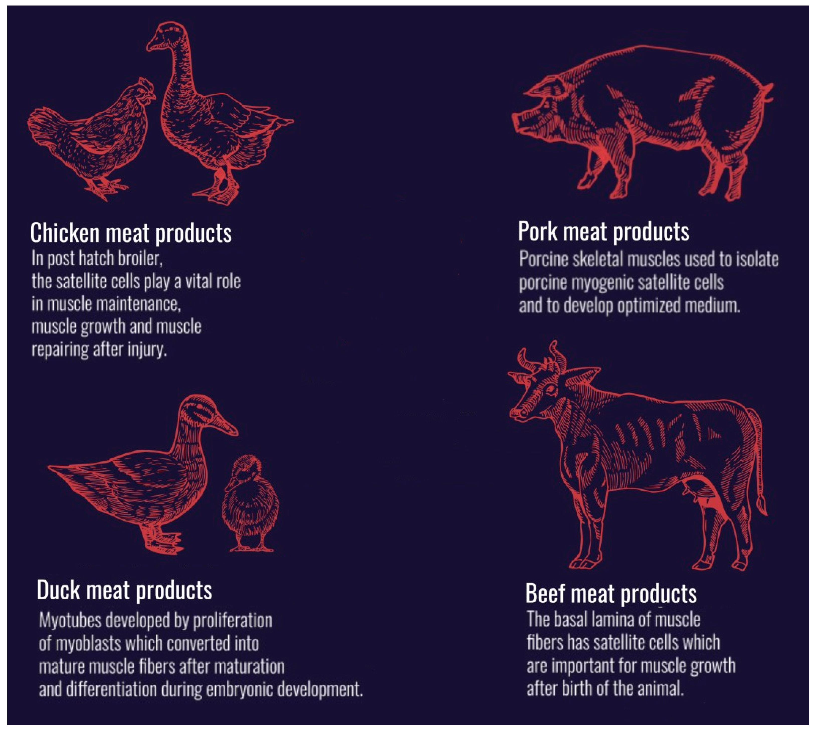 Applsci 12 08795 g005