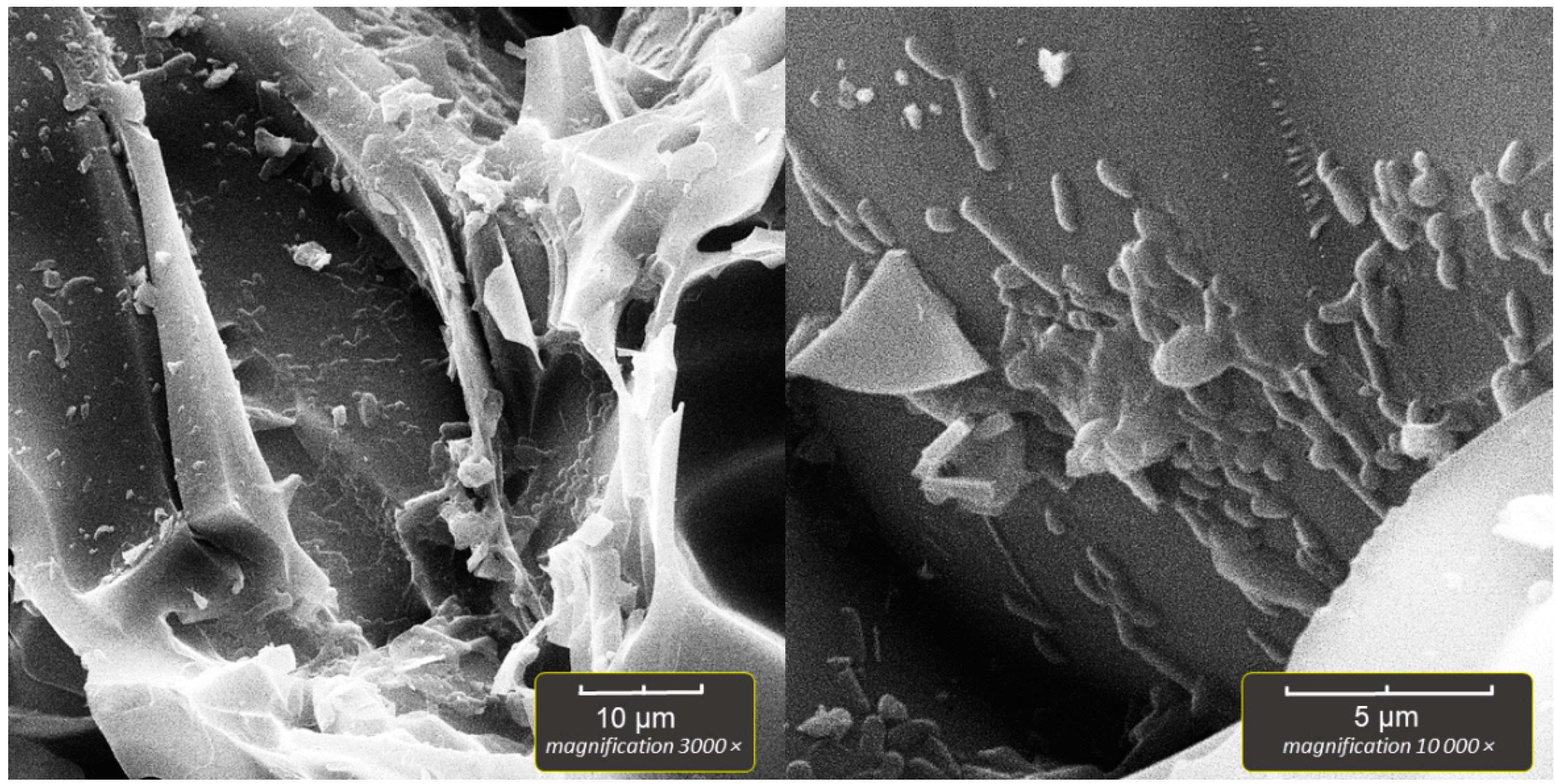 Applsci 12 08808 g005