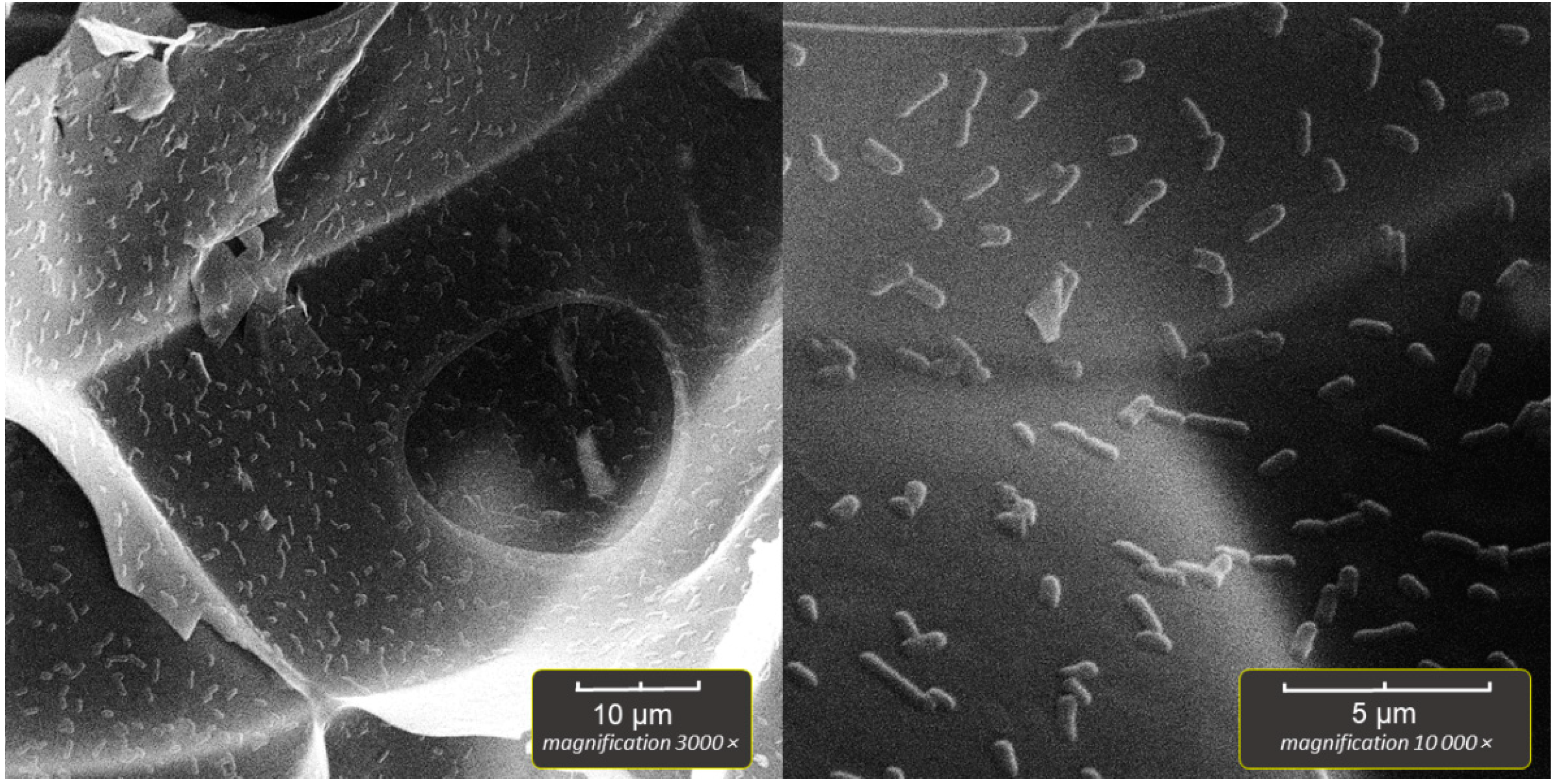 Applsci 12 08808 g006