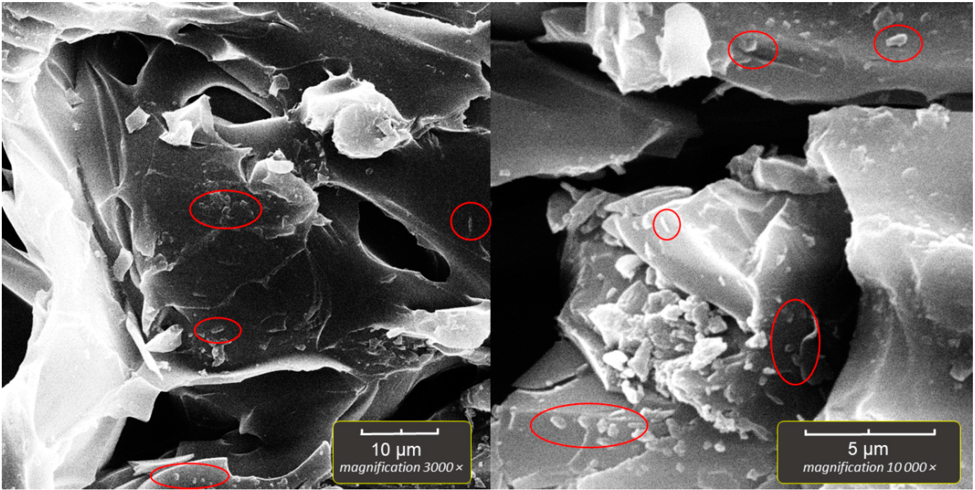 Applsci 12 08808 g007