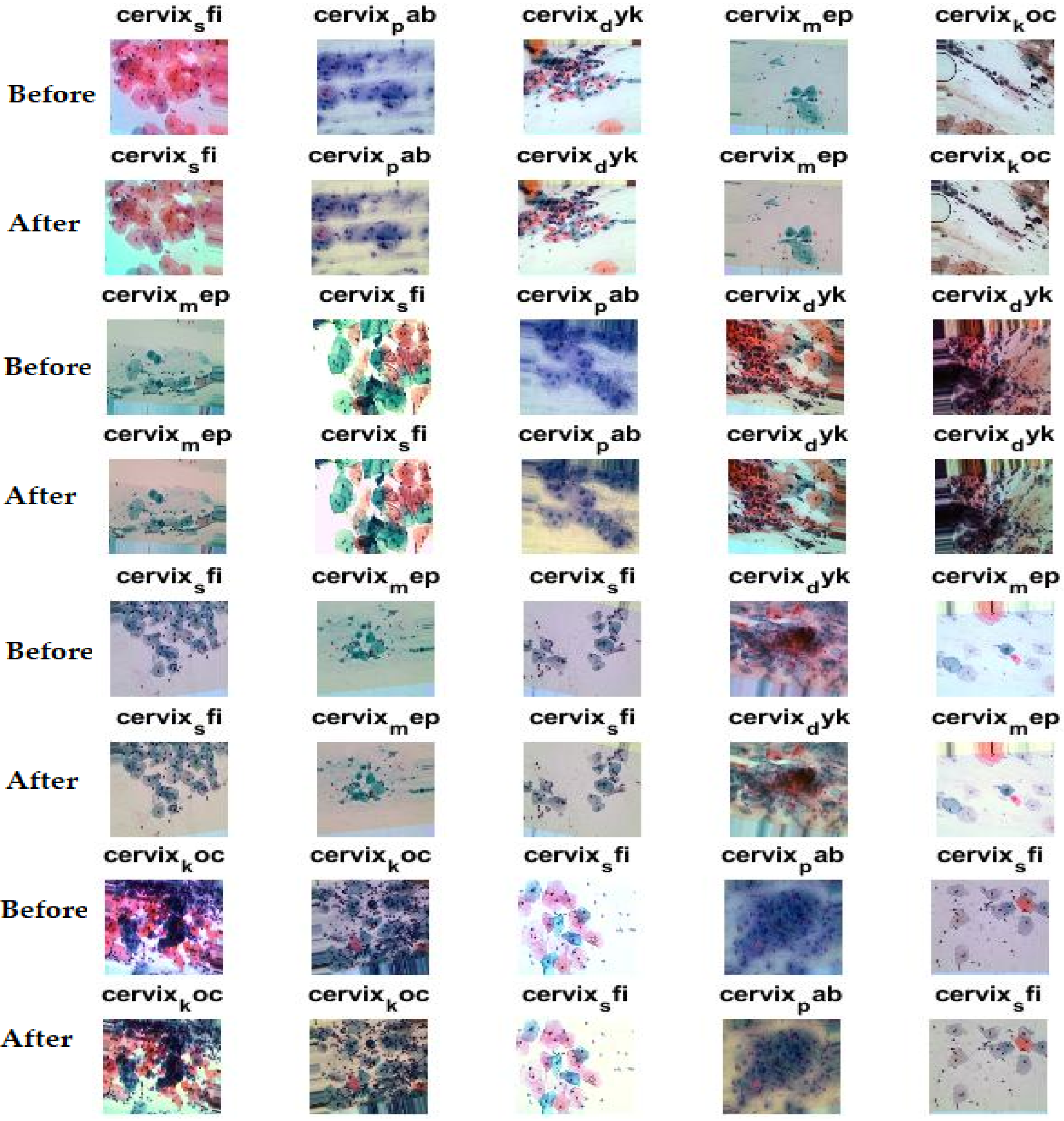 Applsci 12 08836 g002