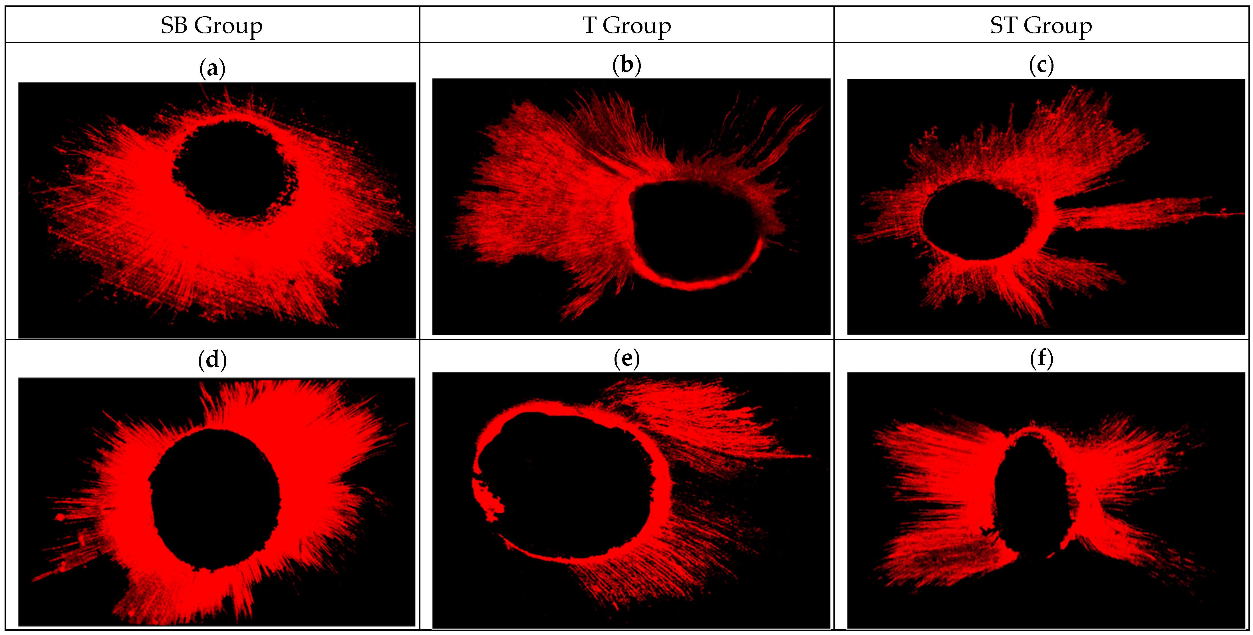 Applsci 12 08877 g002 Applsci 12 08877 g002