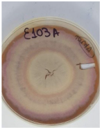 Applsci 12 08918 i002