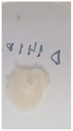 Applsci 12 08918 i004