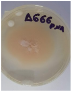 Applsci 12 08918 i005