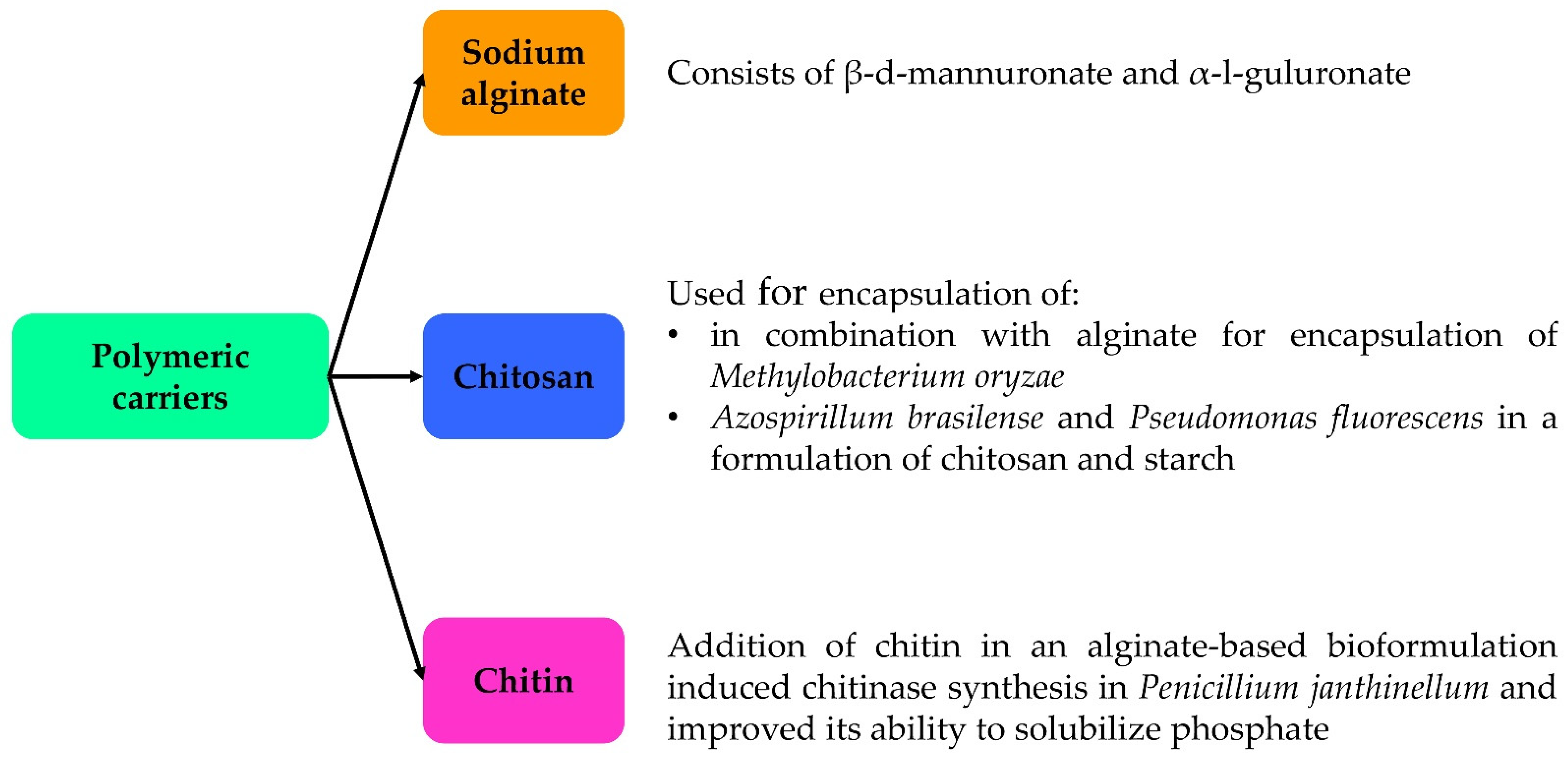 Applsci 12 09020 g003