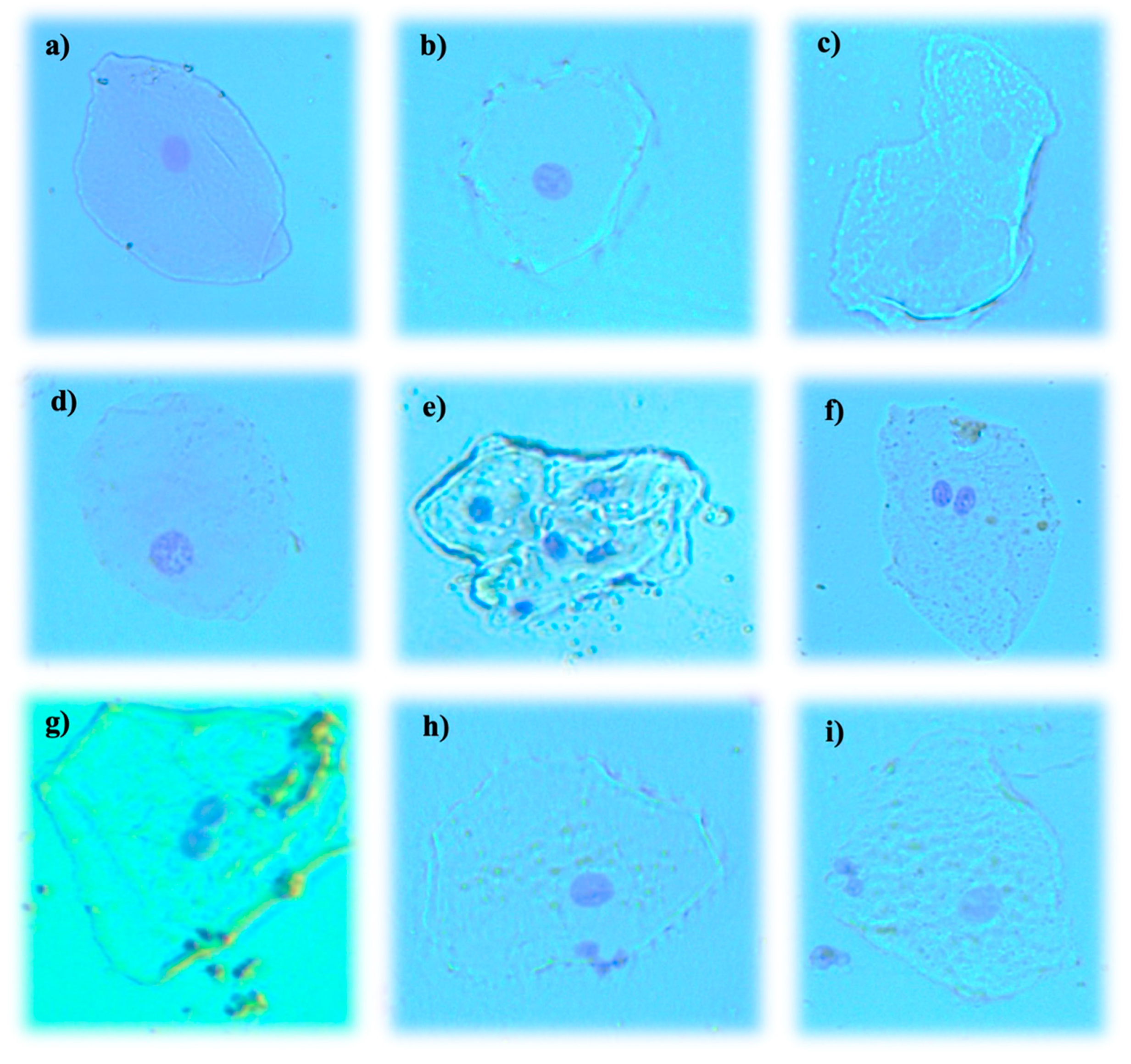 Applsci 12 09050 g003 Applsci 12 09050 g003