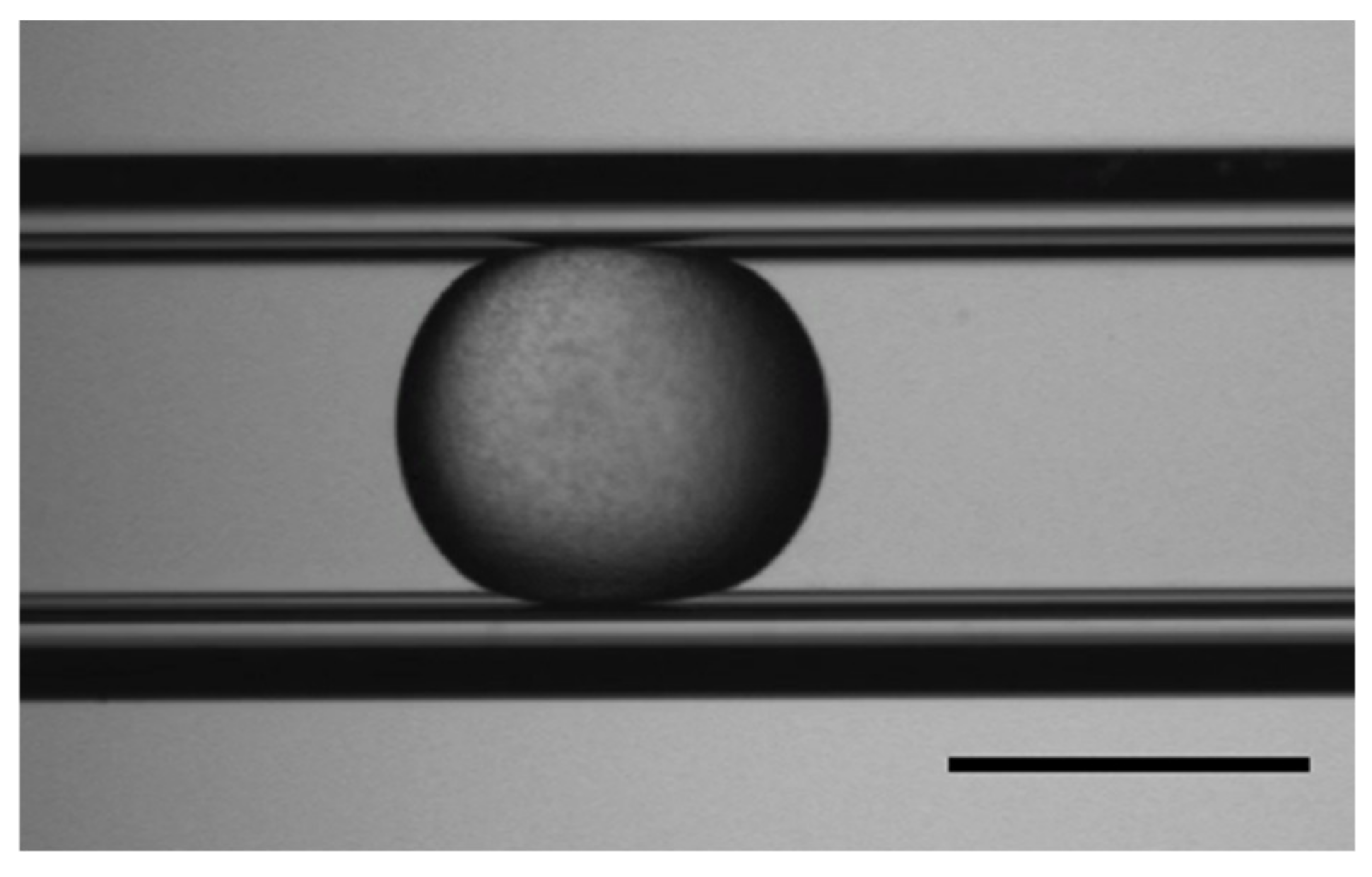 Applsci 12 09056 g004