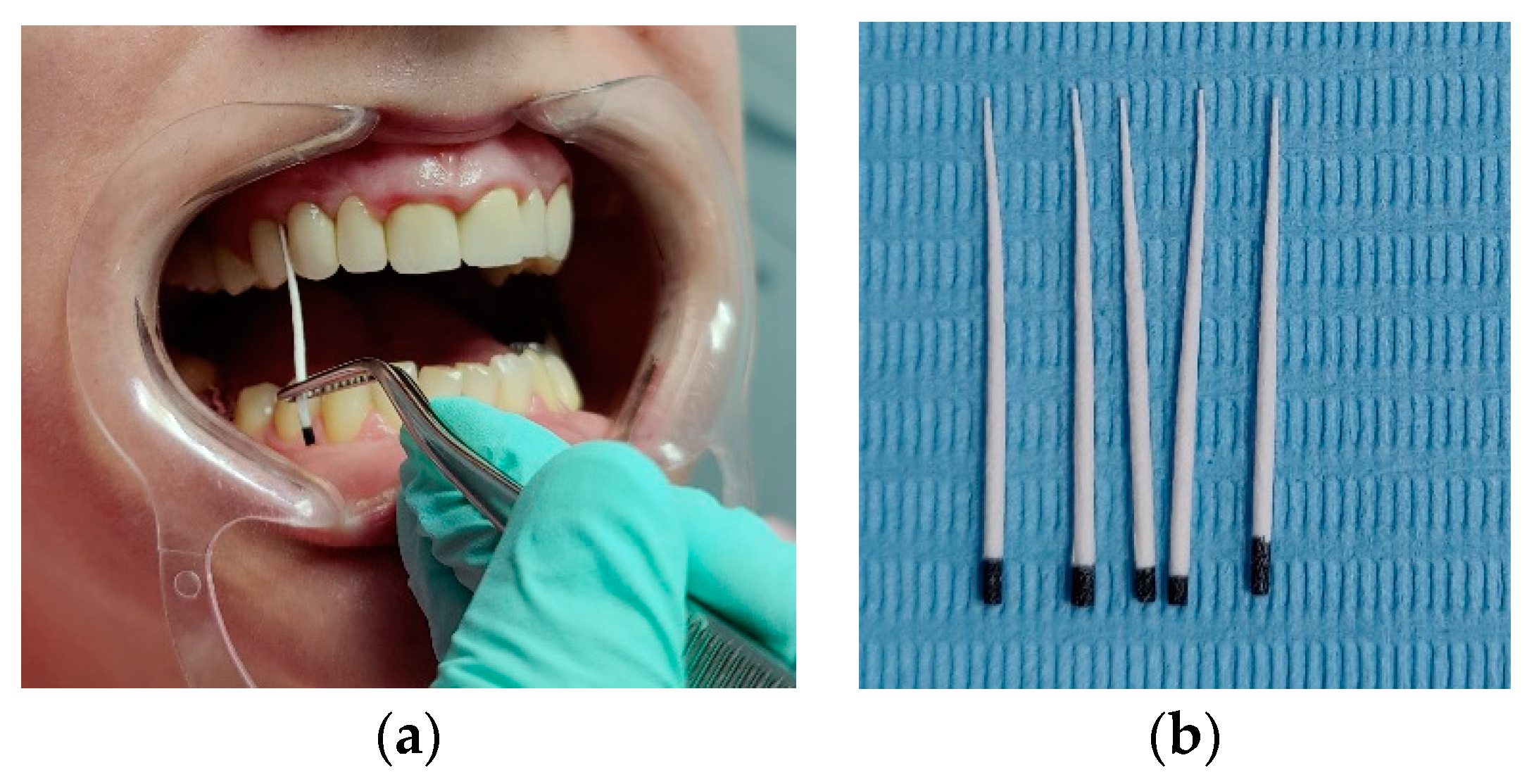 Applsci 12 09067 g001