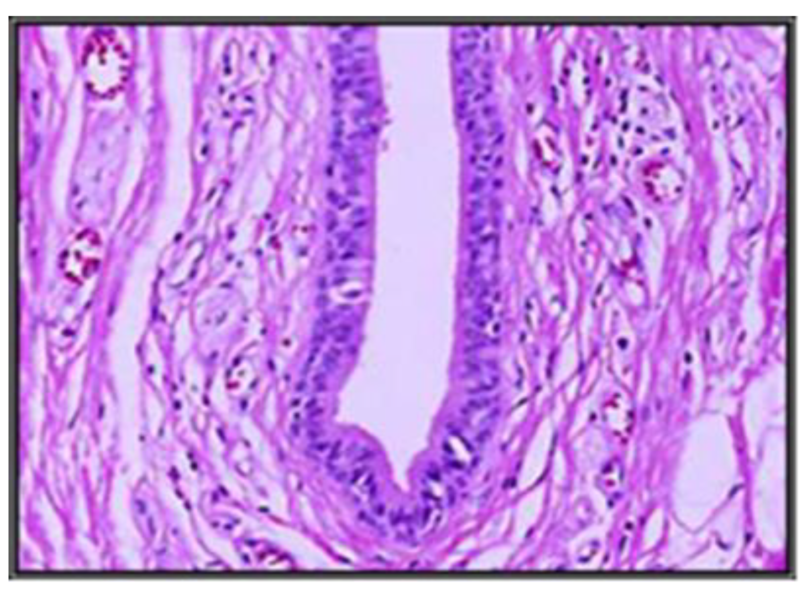 Applsci 12 09067 g004