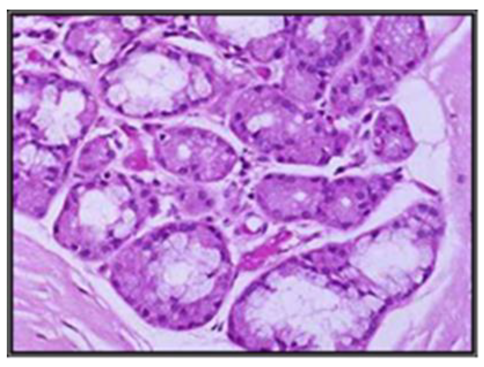 Applsci 12 09067 g005