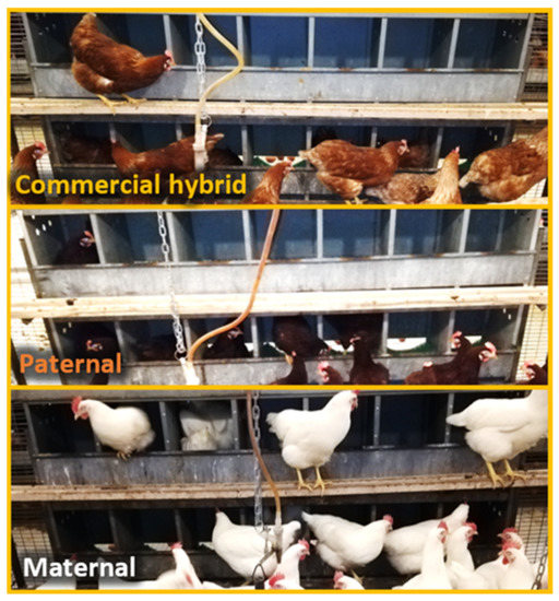 Applsci 12 09093 g001 550