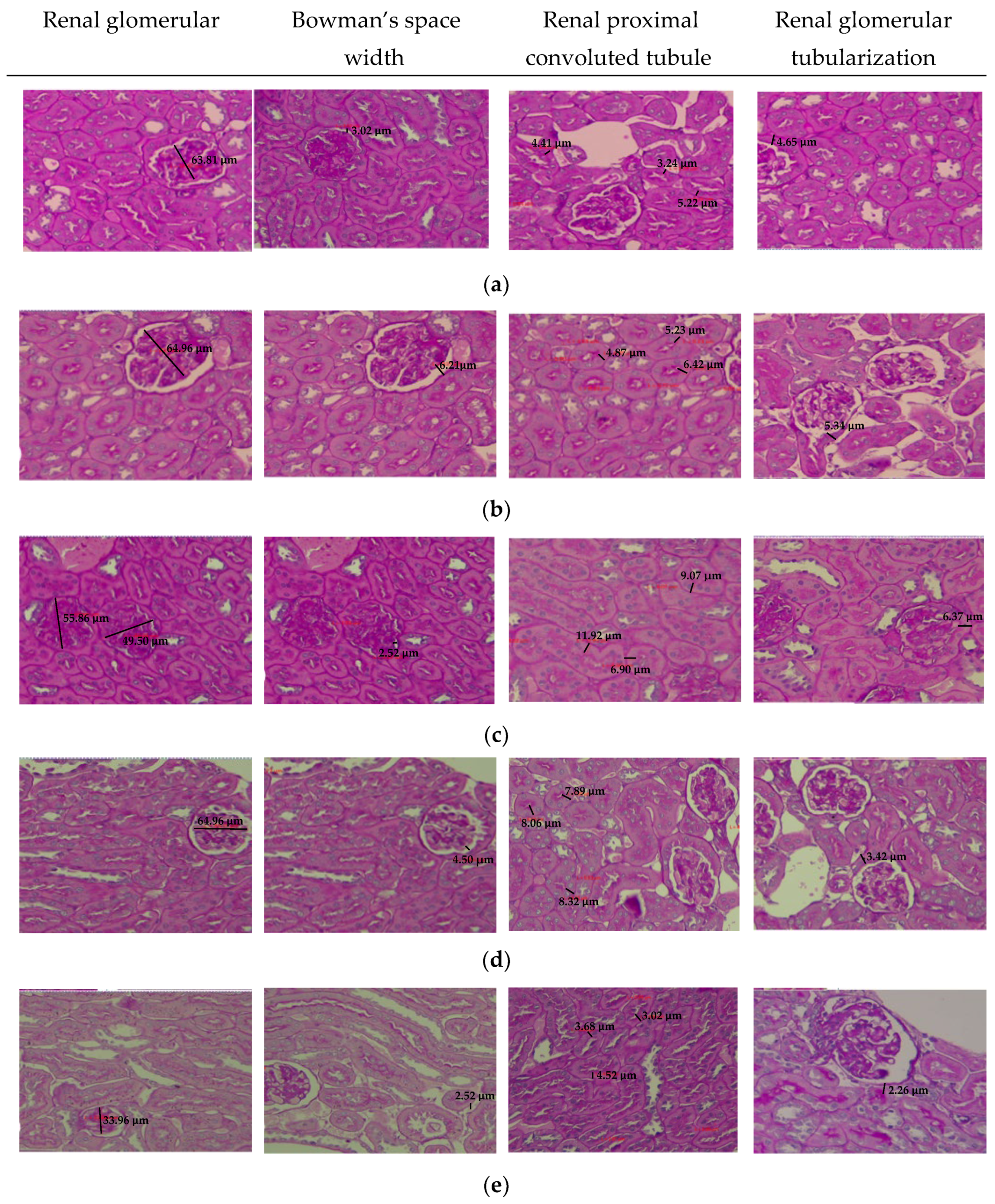 Applsci 12 09141 g004