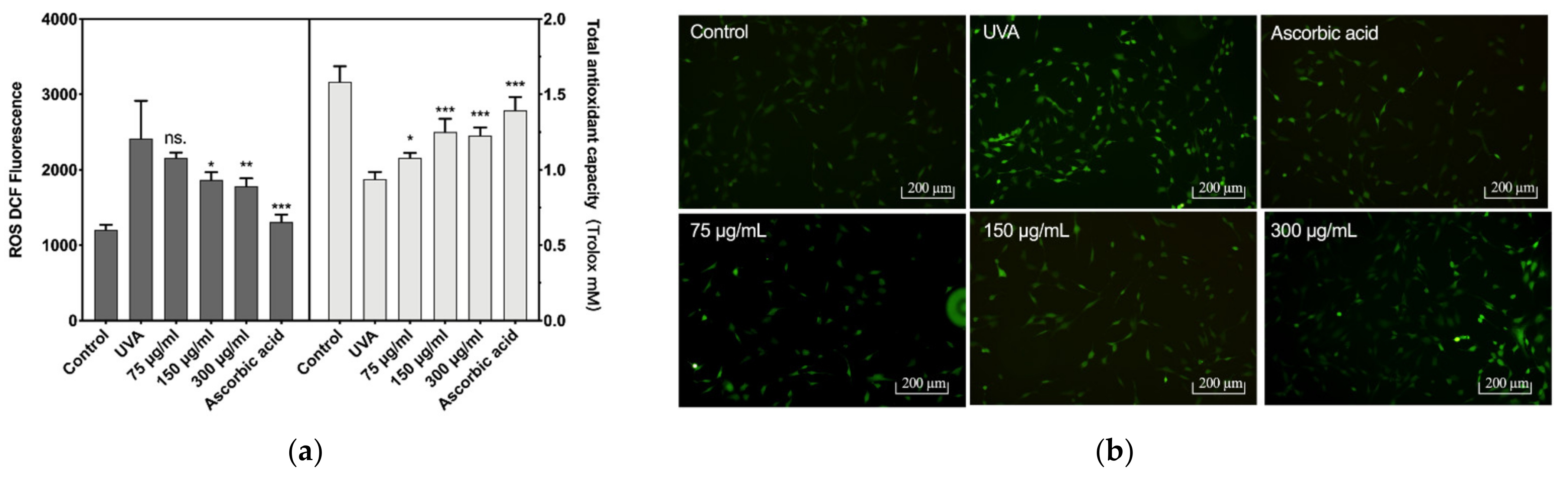 Applsci 12 09151 g003