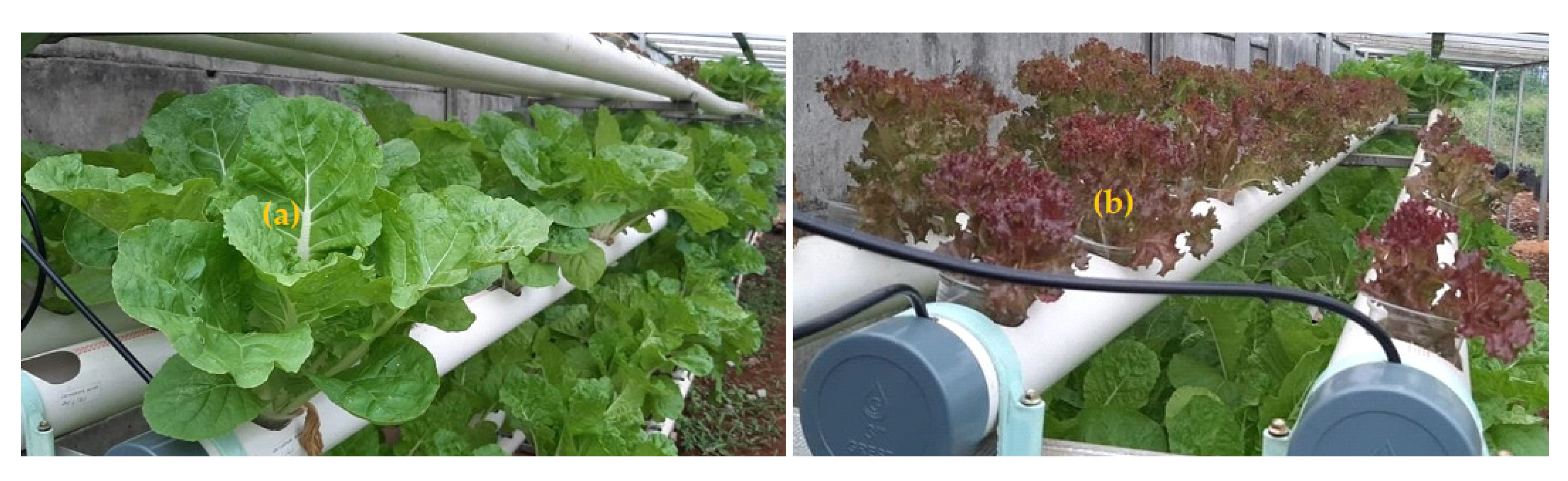 Applsci 12 09192 g001