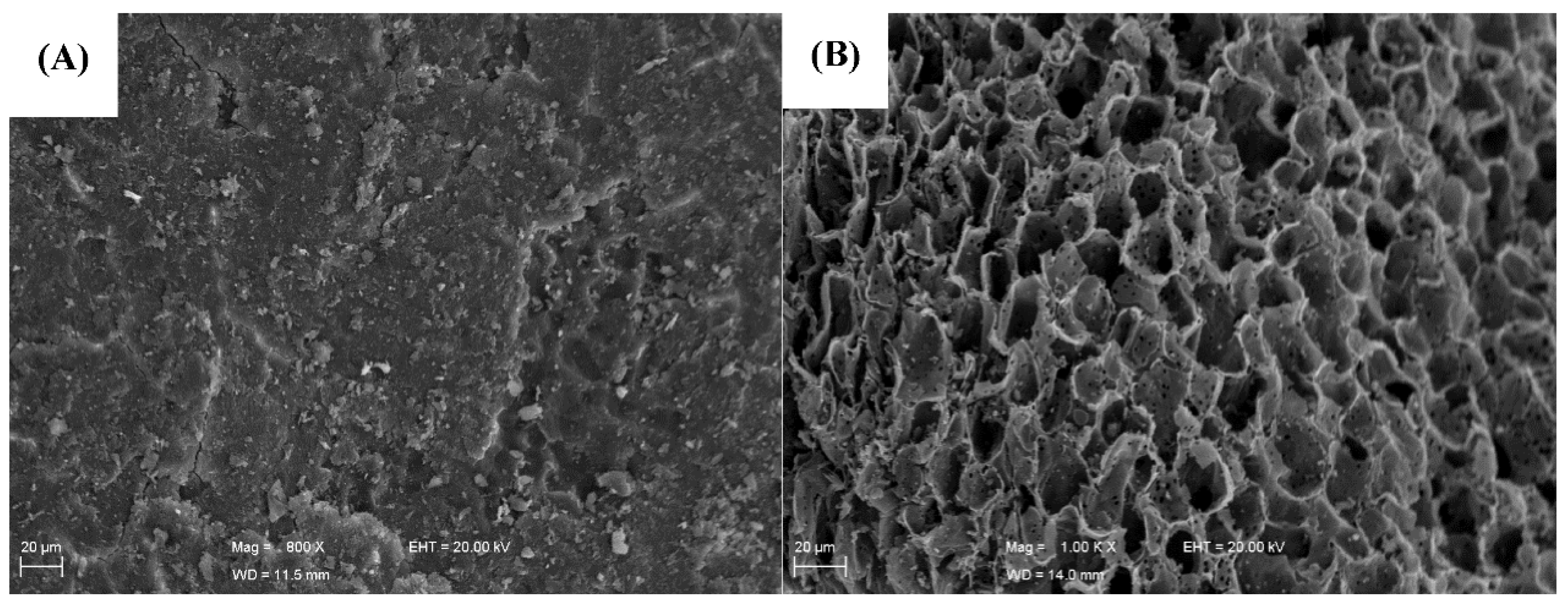 Applsci 12 09211 g002