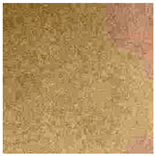 Applsci 12 09244 i015