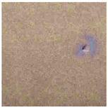 Applsci 12 09244 i019