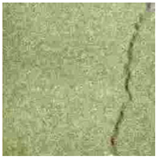 Applsci 12 09244 i024