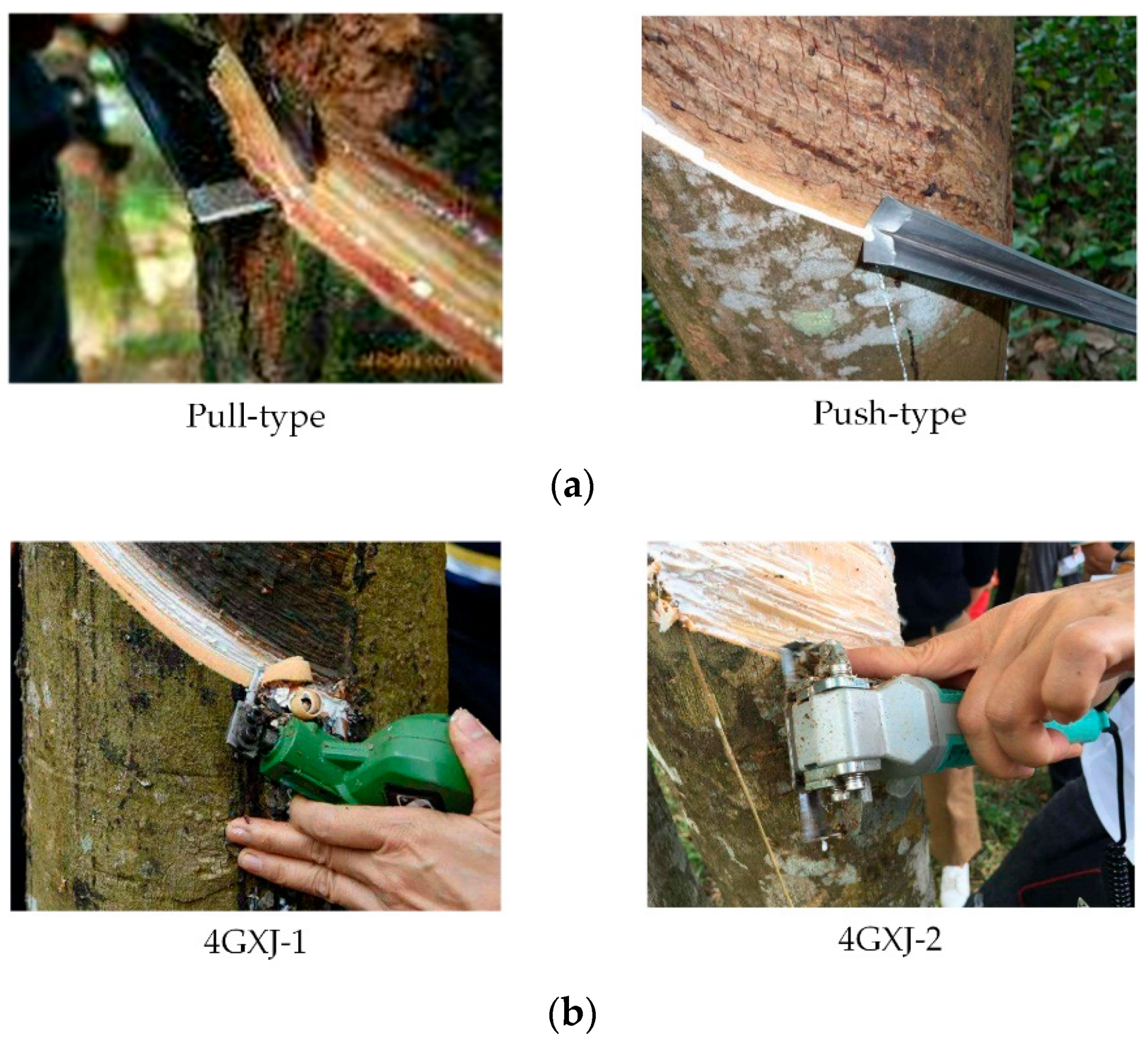 Applsci 12 09304 g005