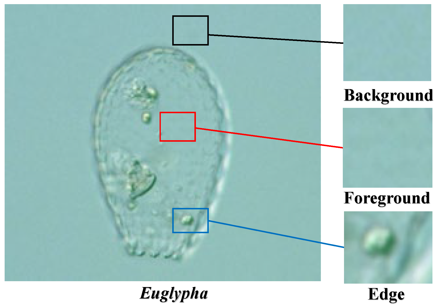 Applsci 12 09321 g001 Applsci 12 09321 g001