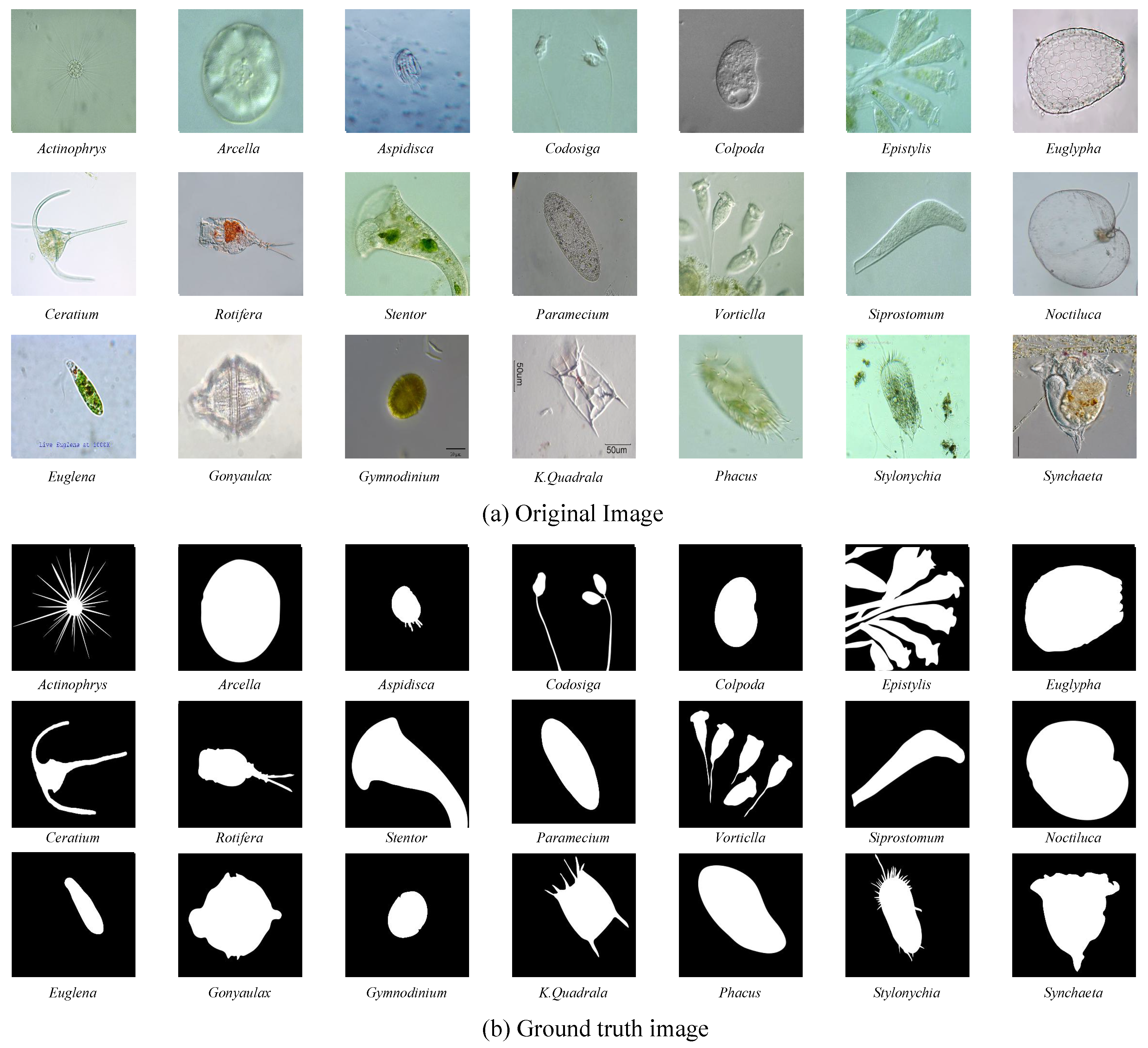 Applsci 12 09321 g010 Applsci 12 09321 g010